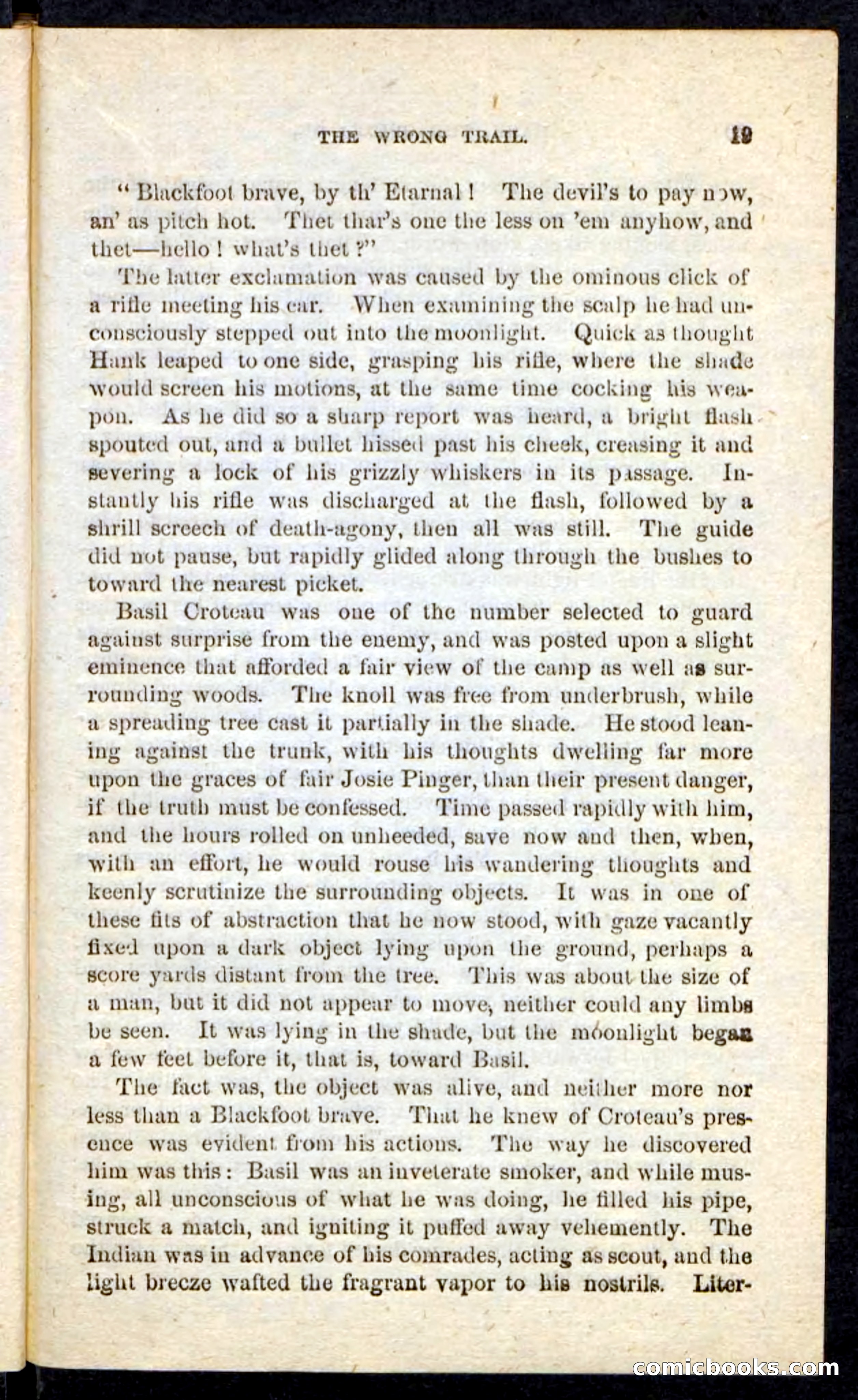 Beadle's Pocket Novels No. 163 — page 15 of 100