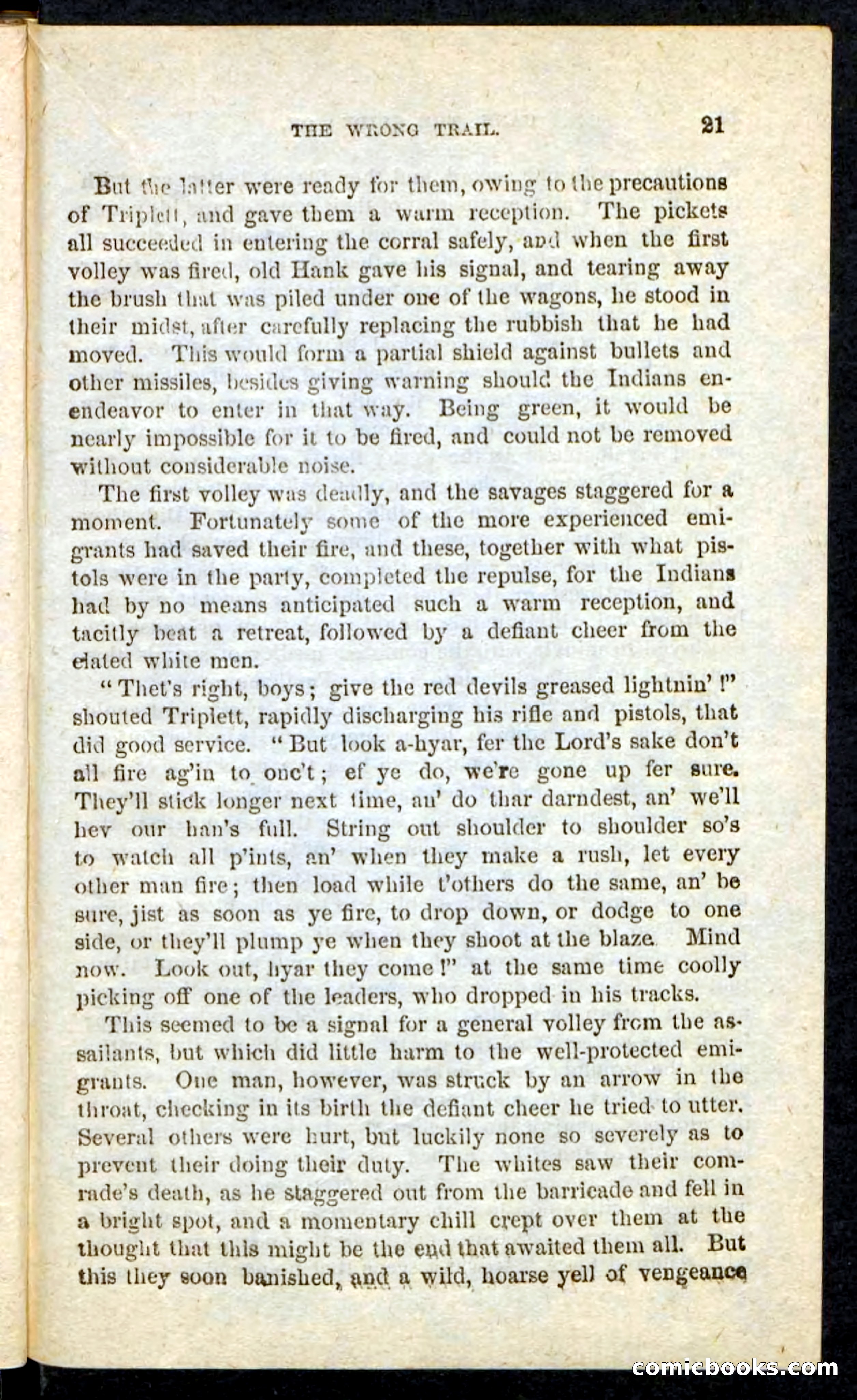 Beadle's Pocket Novels No. 163 — page 17 of 100