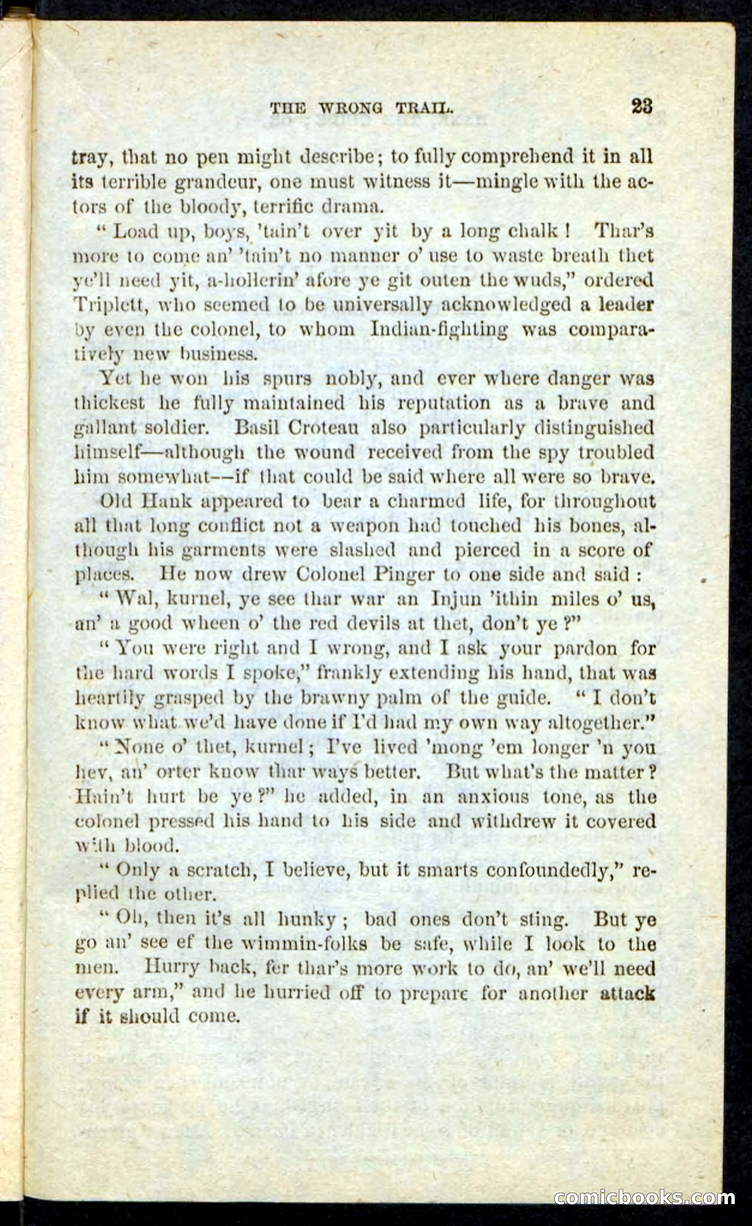 Beadle's Pocket Novels No. 163 — page 19 of 100