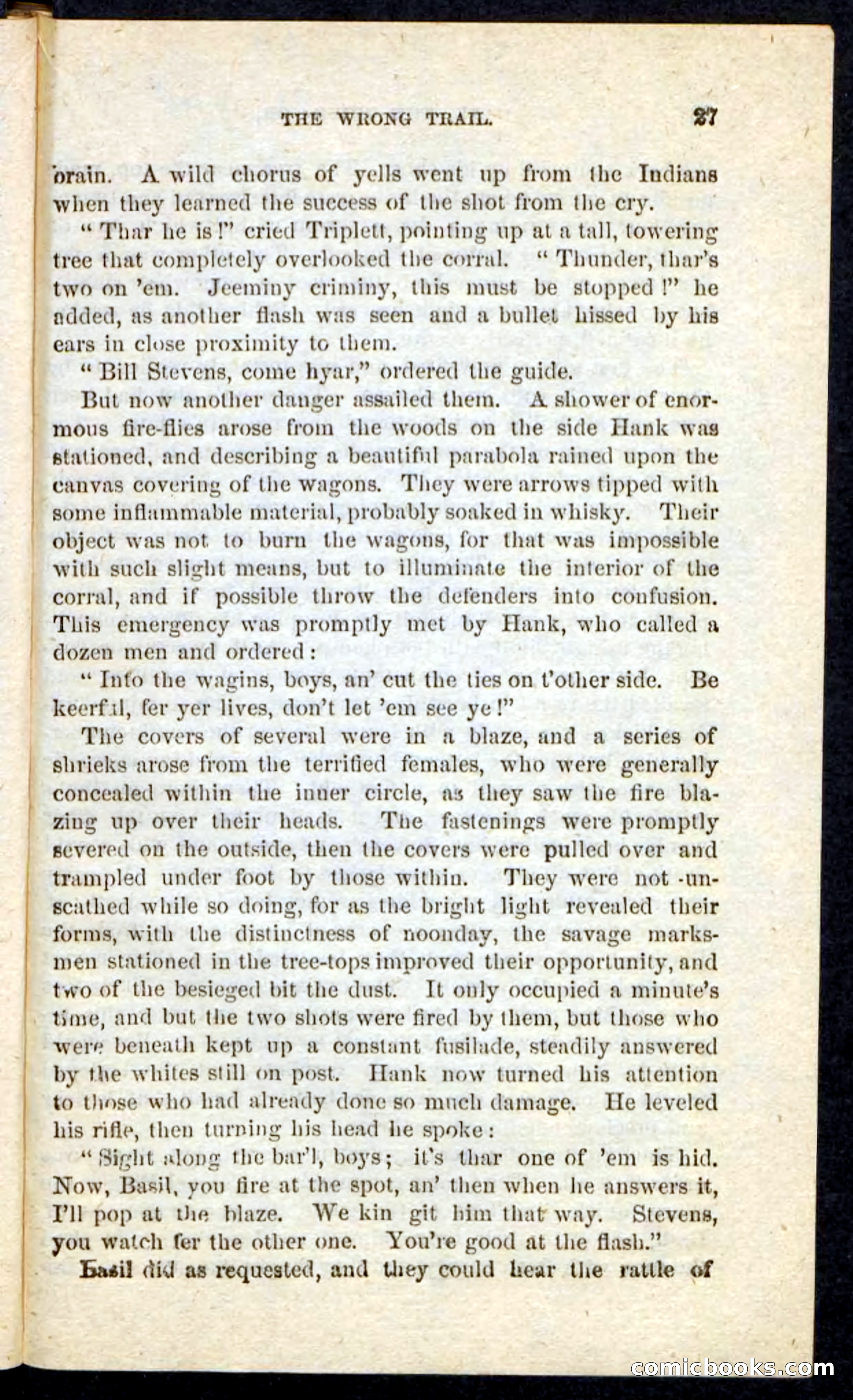Beadle's Pocket Novels No. 163 — page 23 of 100