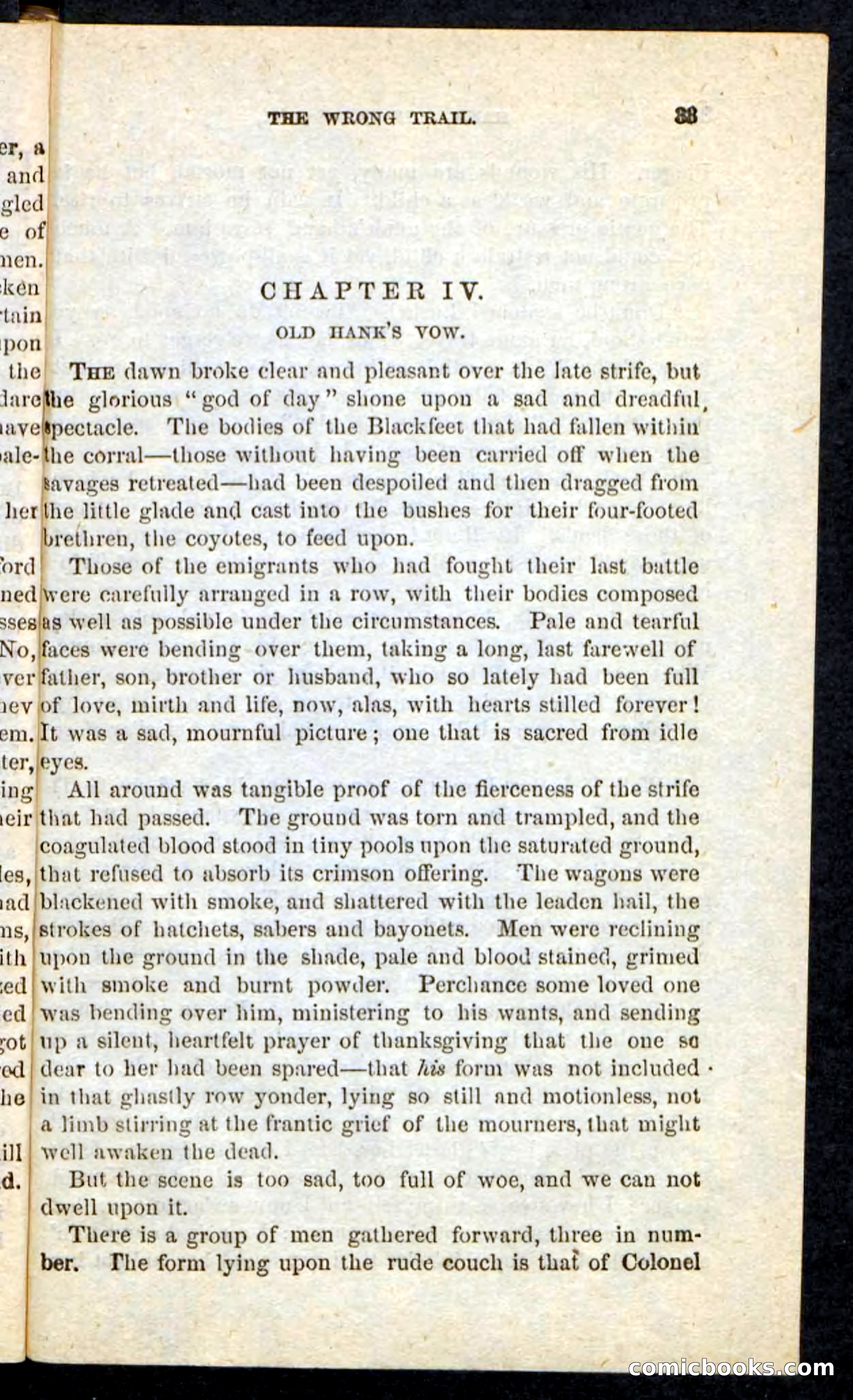 Beadle's Pocket Novels No. 163 — page 29 of 100