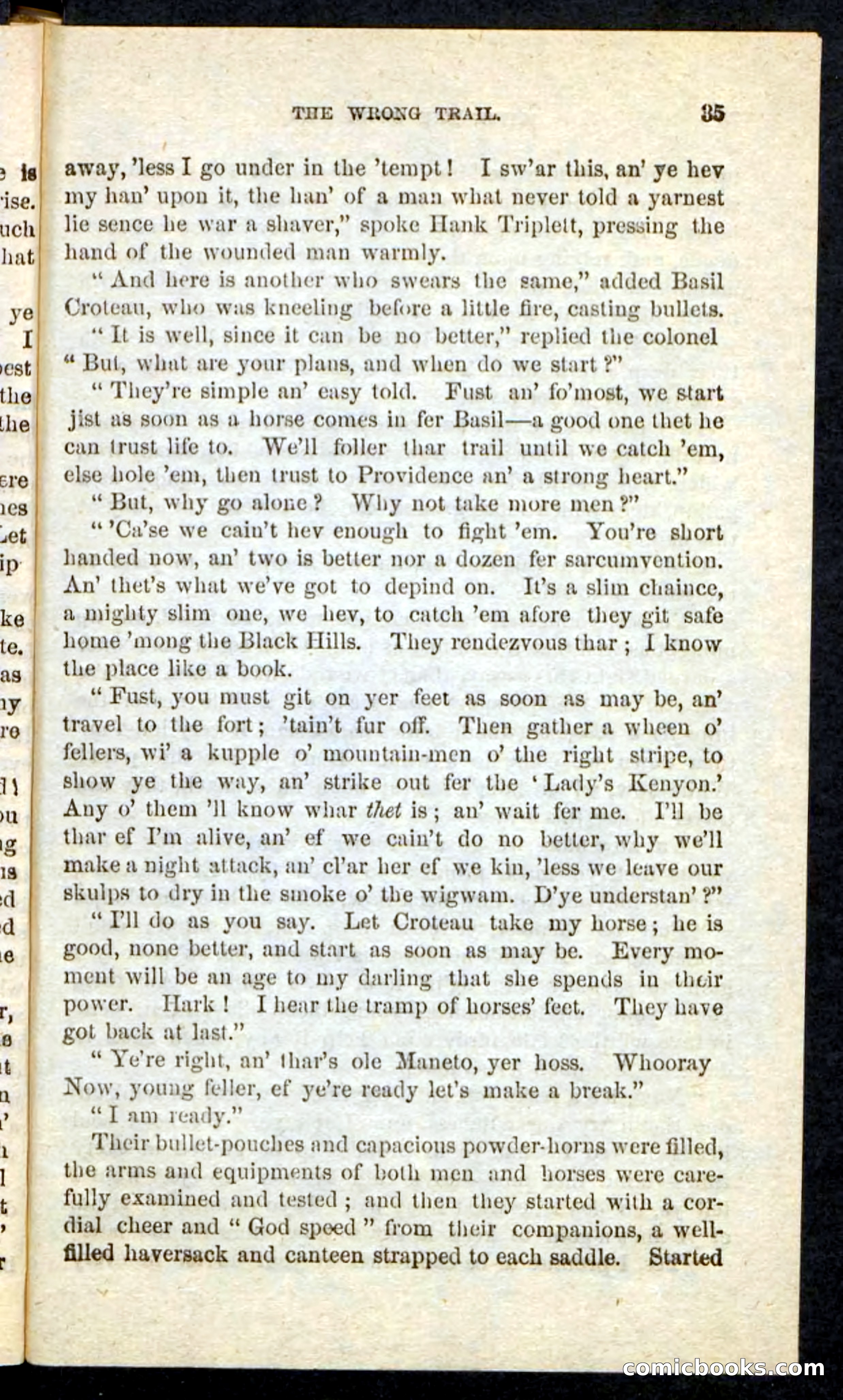 Beadle's Pocket Novels No. 163 — page 31 of 100