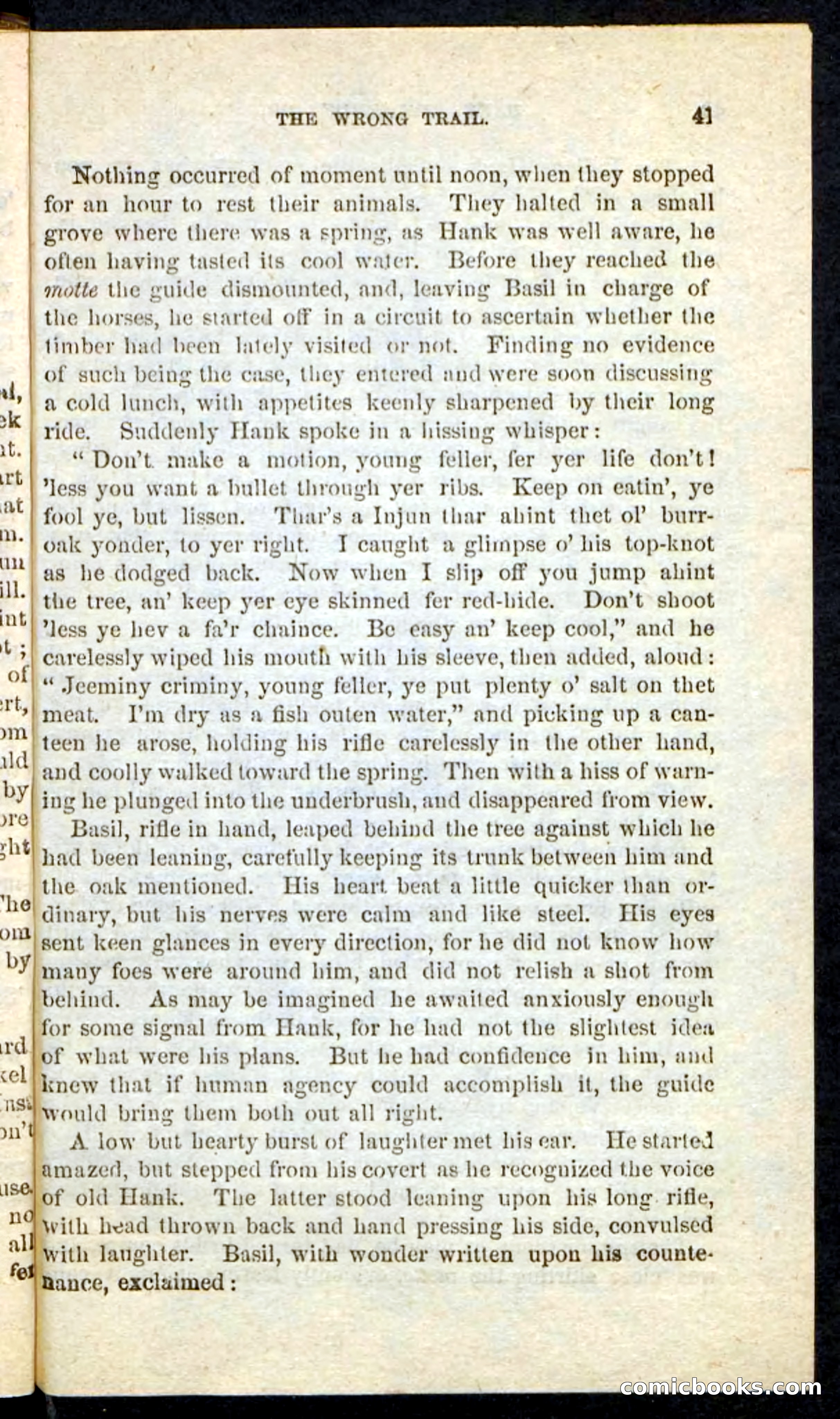 Beadle's Pocket Novels No. 163 — page 37 of 100