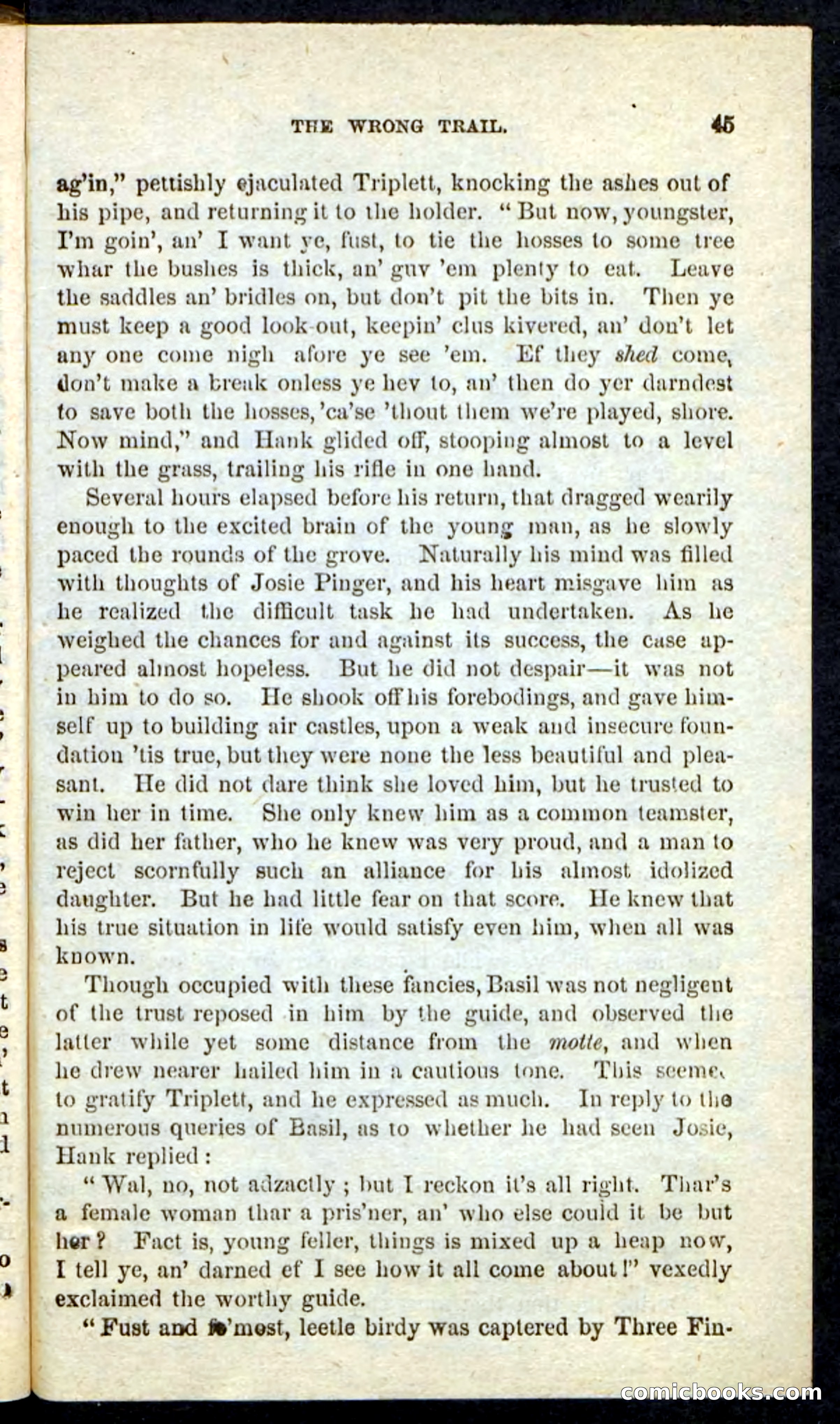Beadle's Pocket Novels No. 163 — page 41 of 100