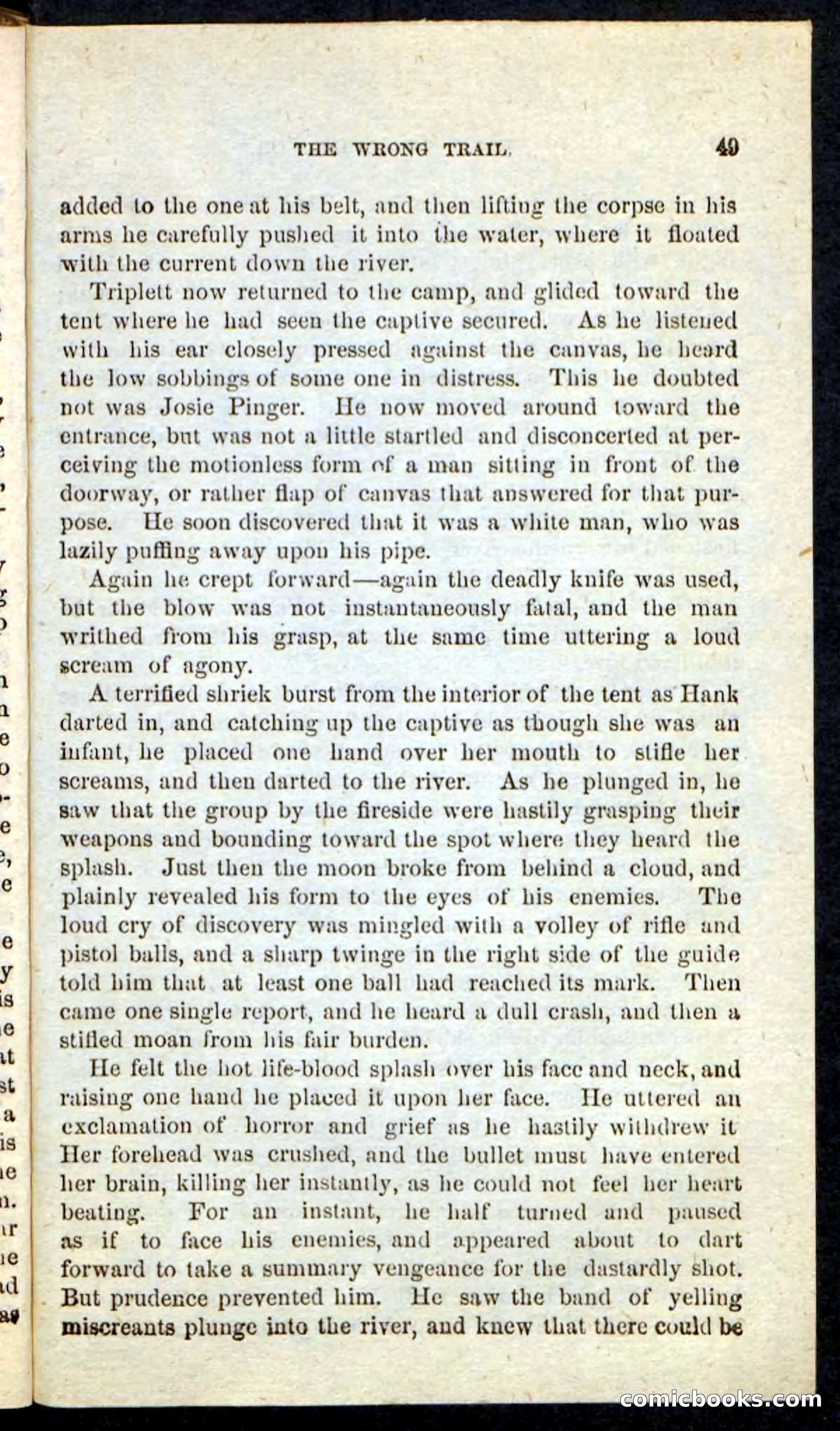 Beadle's Pocket Novels No. 163 — page 45 of 100