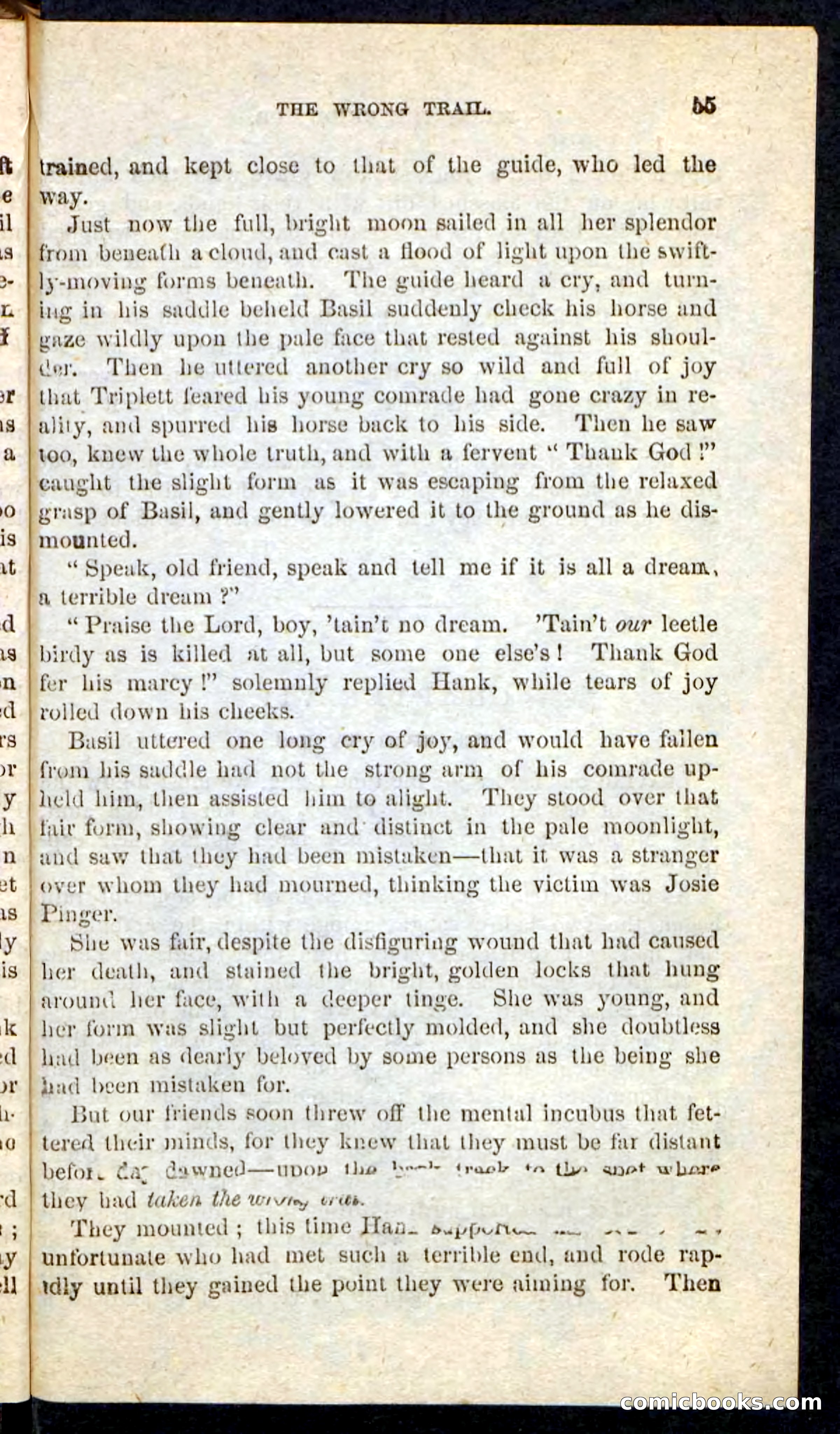 Beadle's Pocket Novels No. 163 — page 51 of 100
