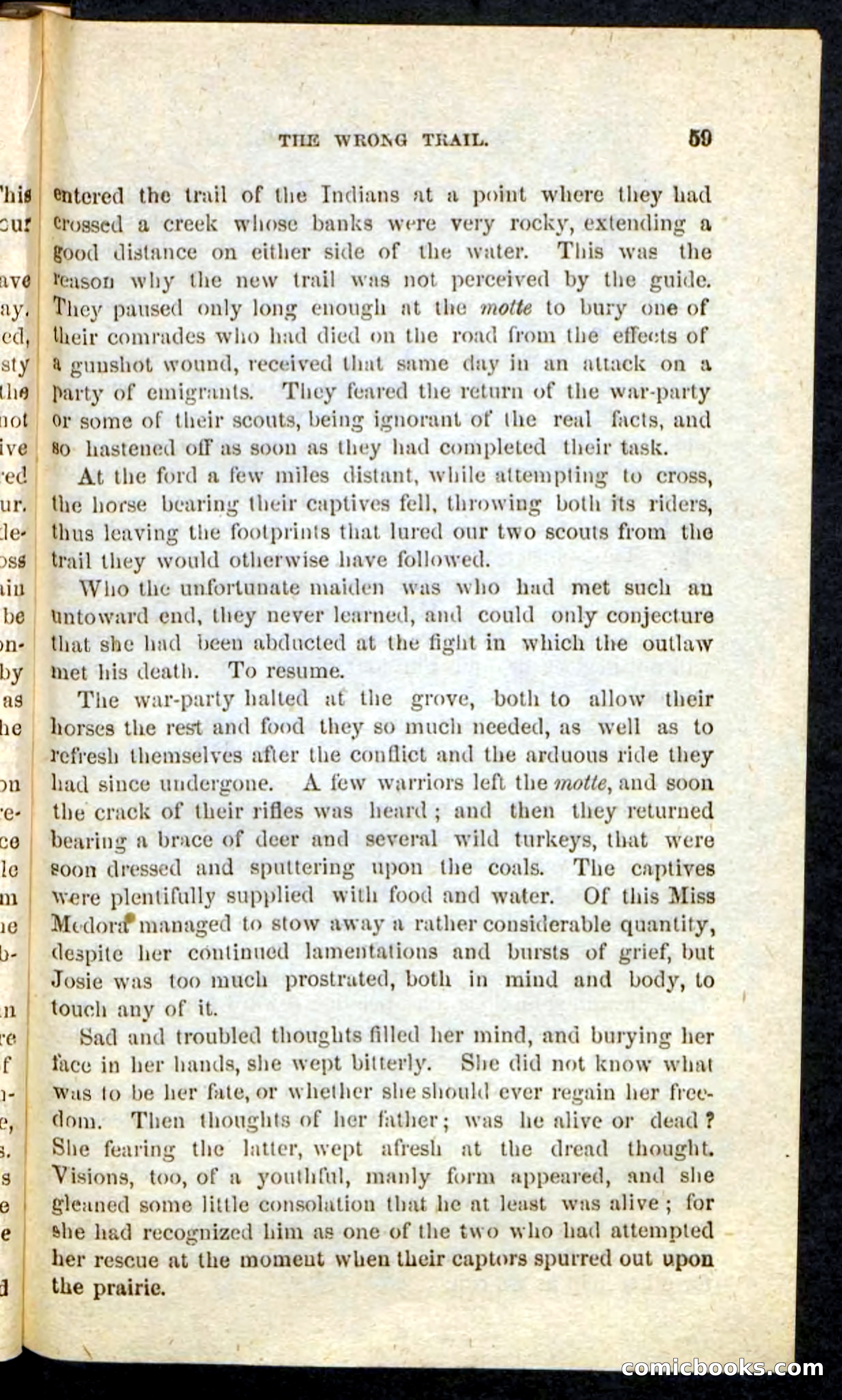 Beadle's Pocket Novels No. 163 — page 55 of 100