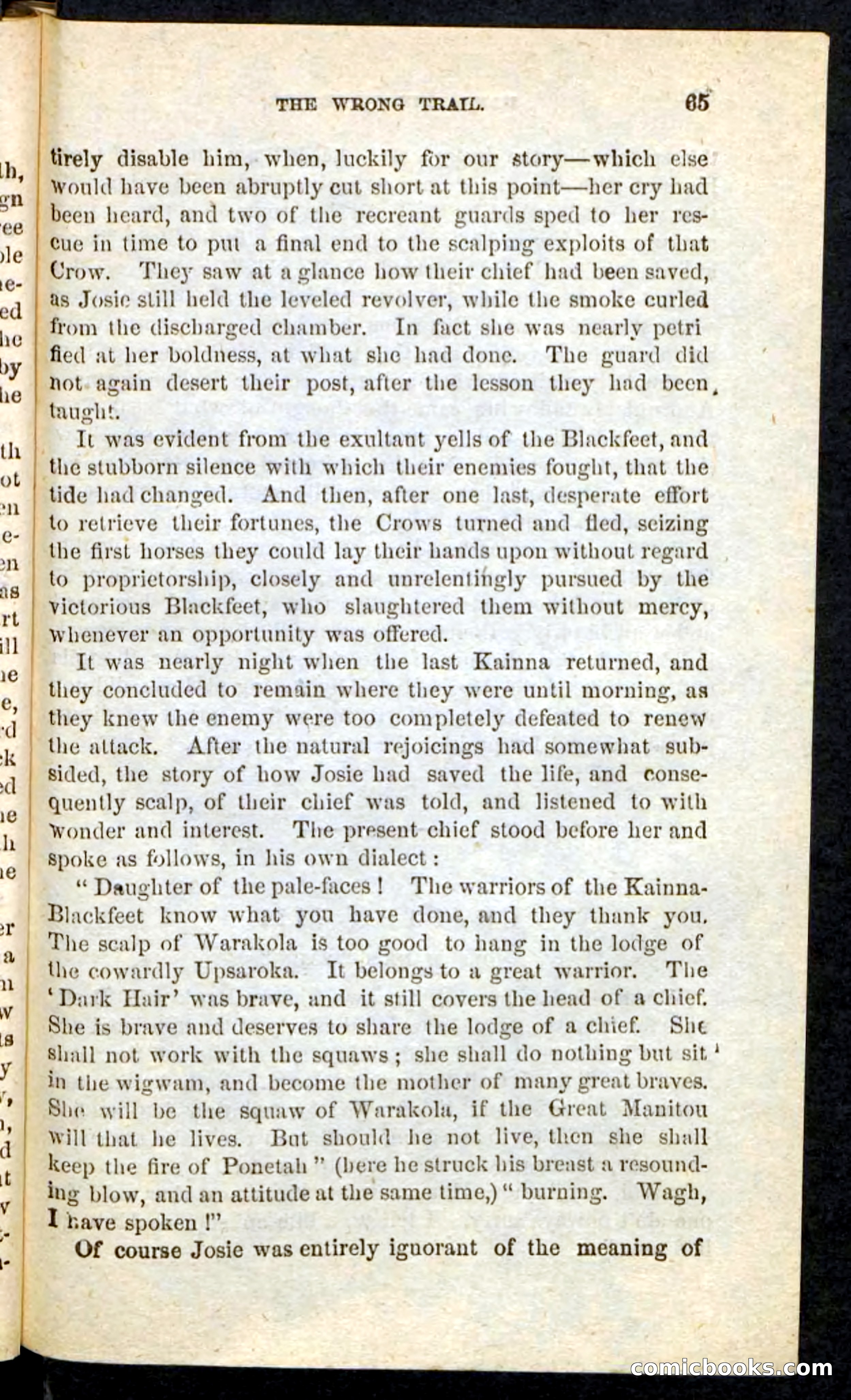 Beadle's Pocket Novels No. 163 — page 61 of 100