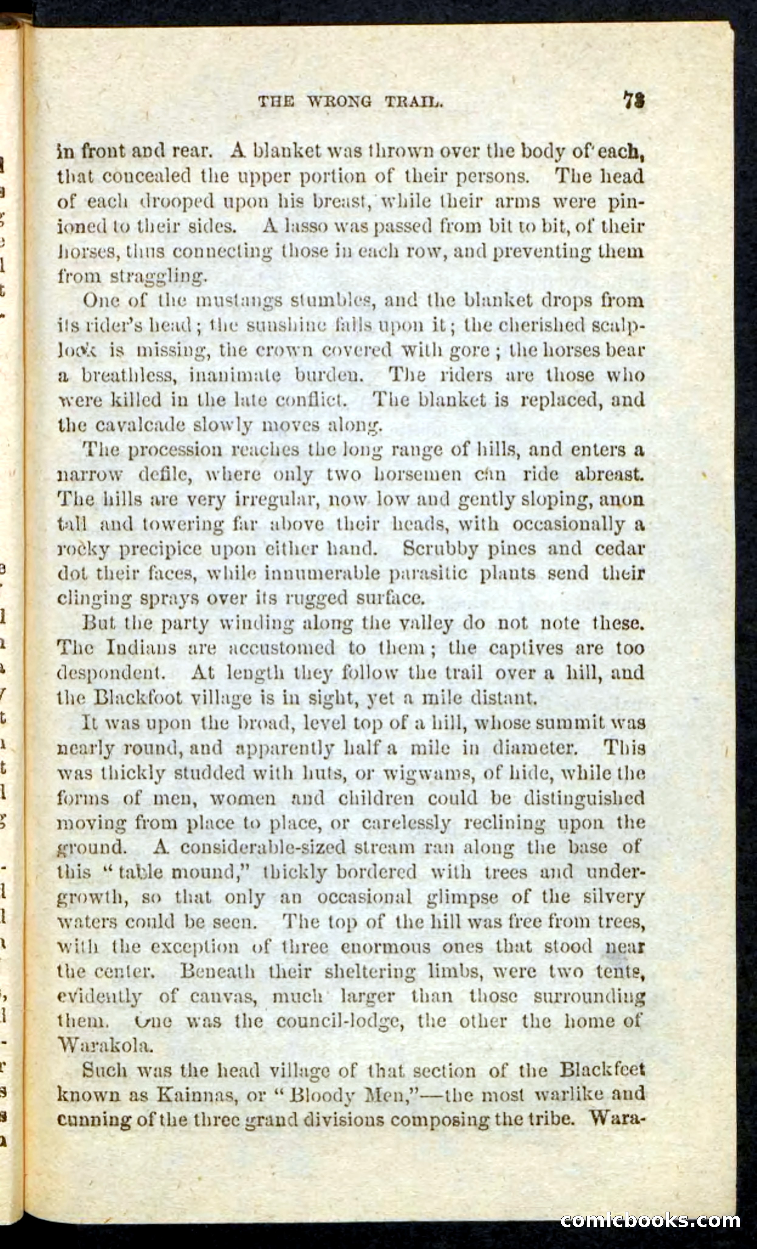 Beadle's Pocket Novels No. 163 — page 69 of 100