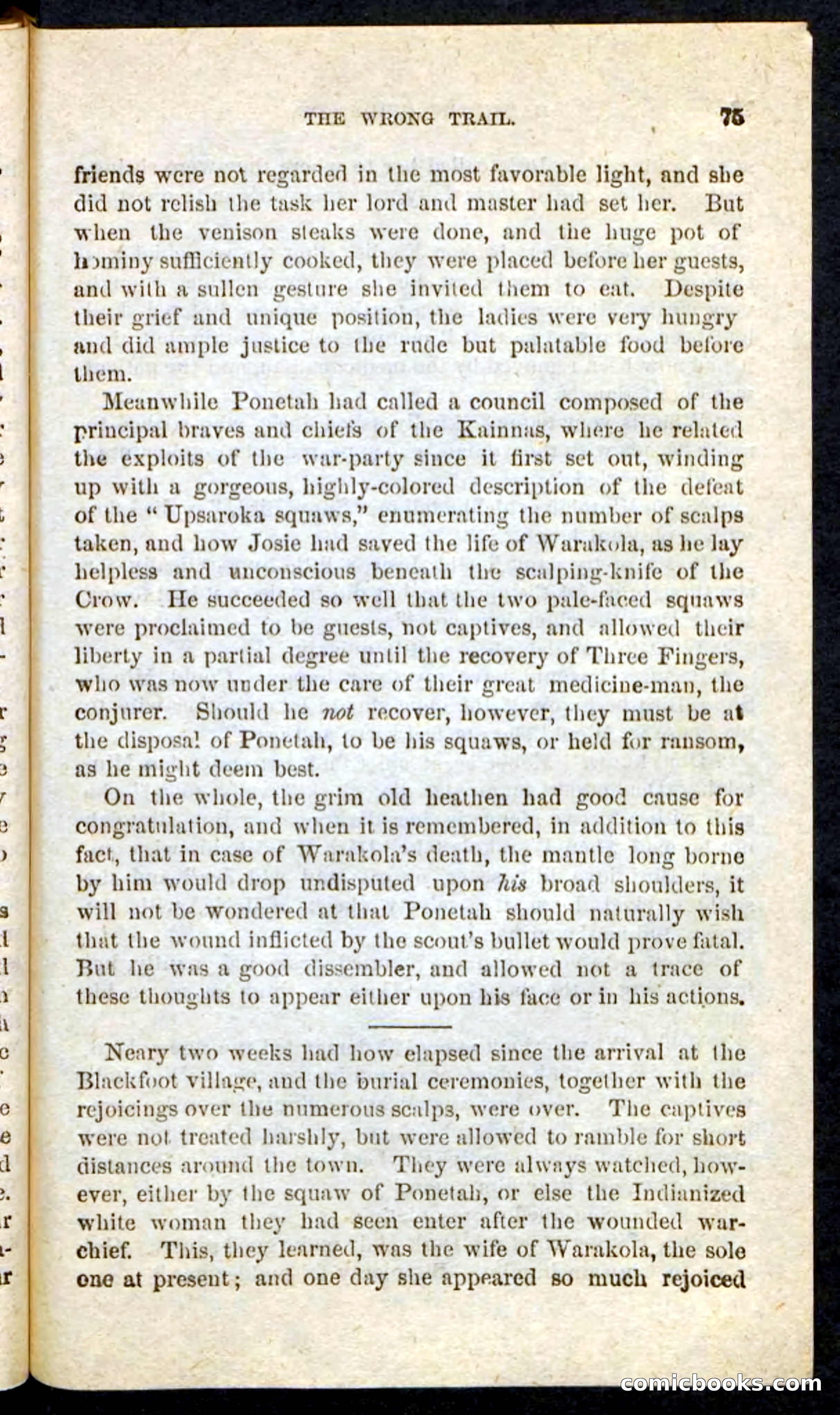 Beadle's Pocket Novels No. 163 — page 71 of 100