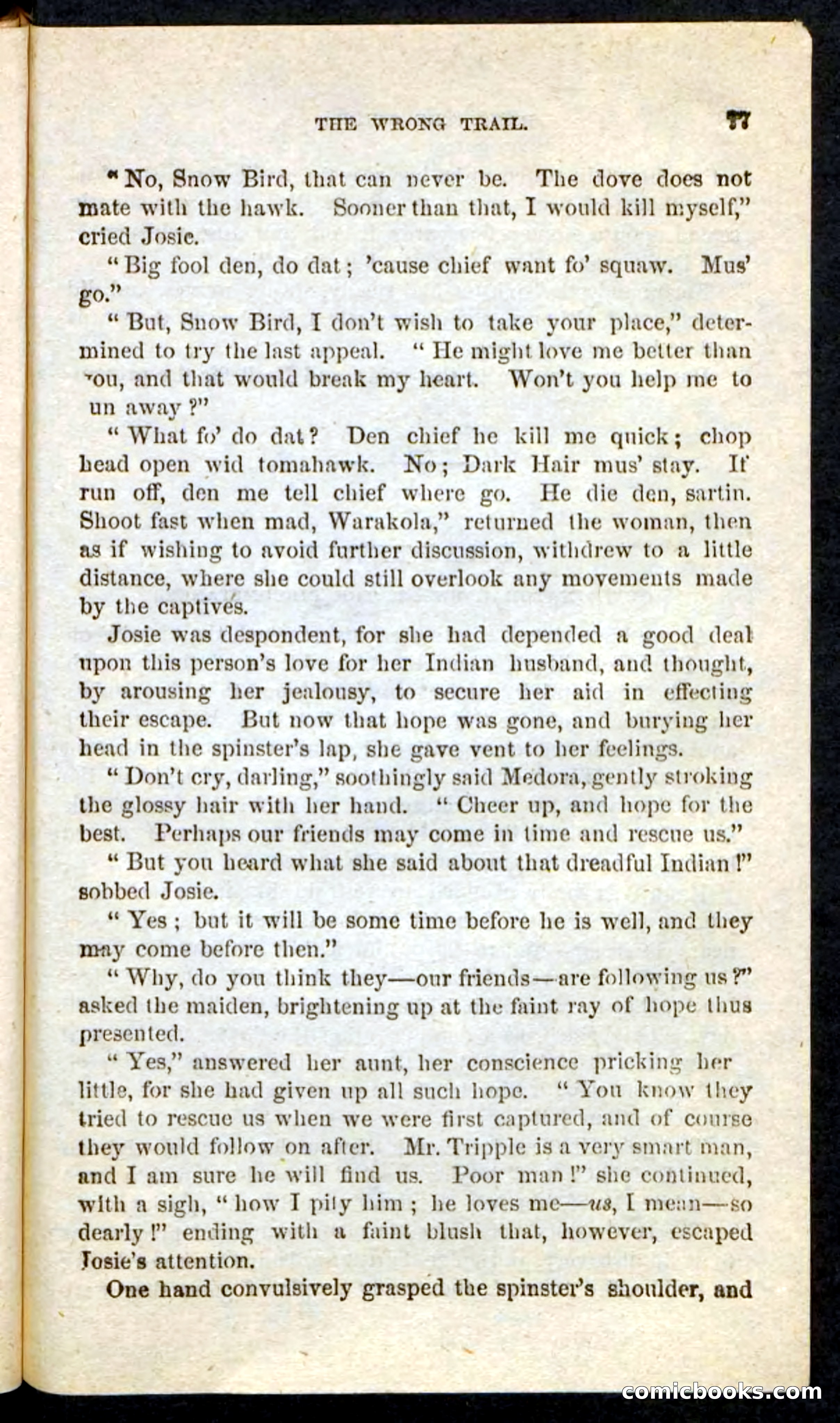 Beadle's Pocket Novels No. 163 — page 73 of 100