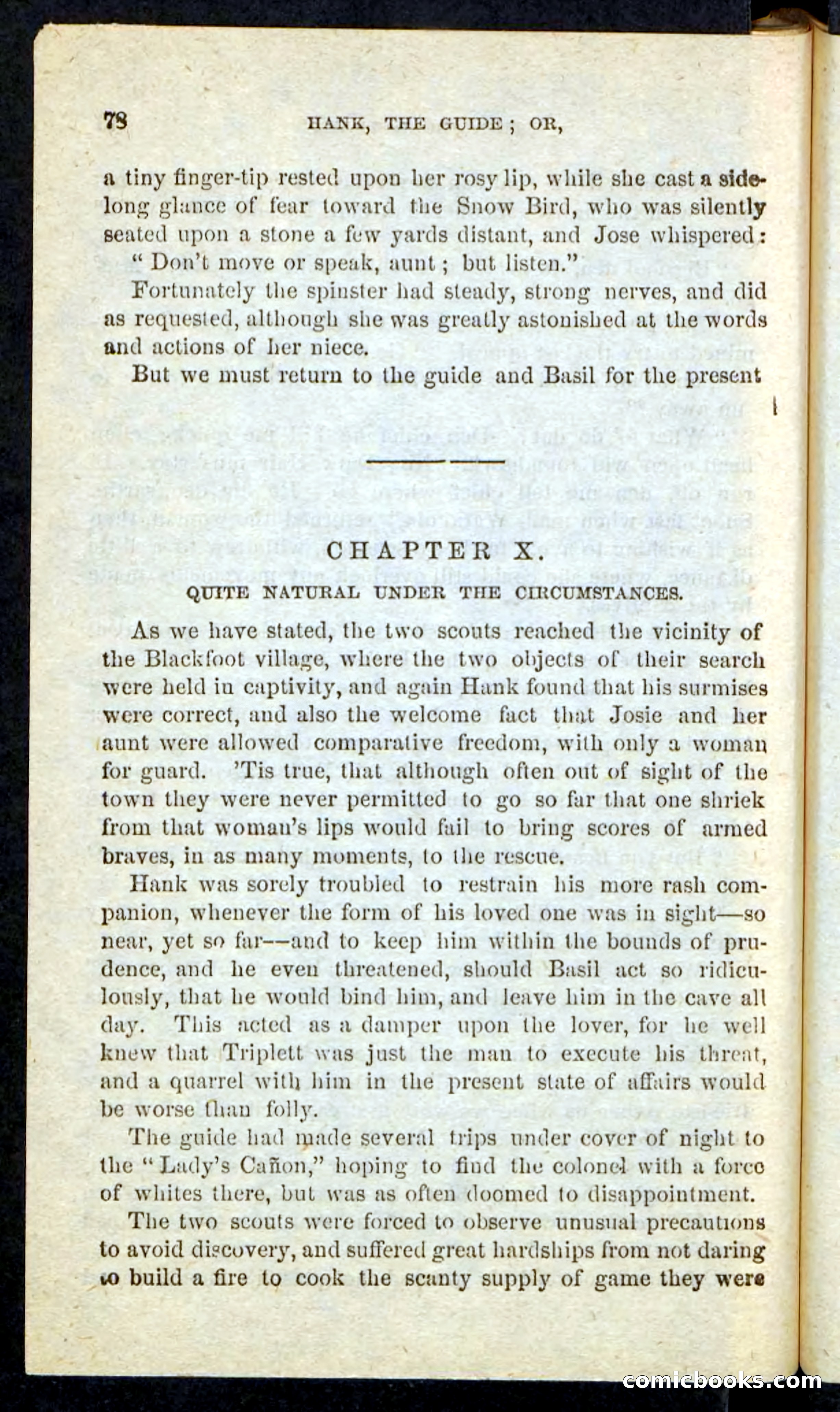 Beadle's Pocket Novels No. 163 — page 74 of 100