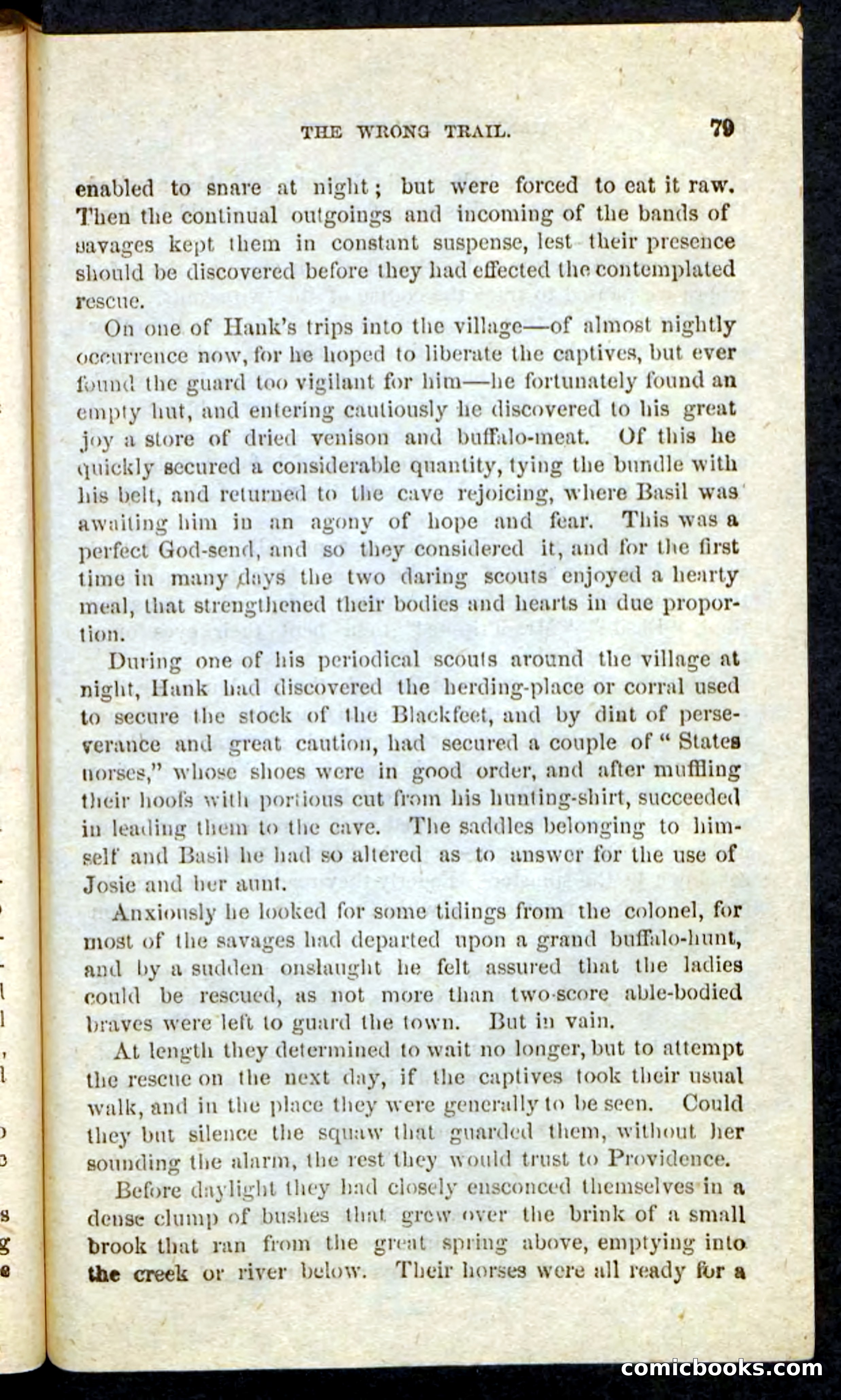 Beadle's Pocket Novels No. 163 — page 75 of 100