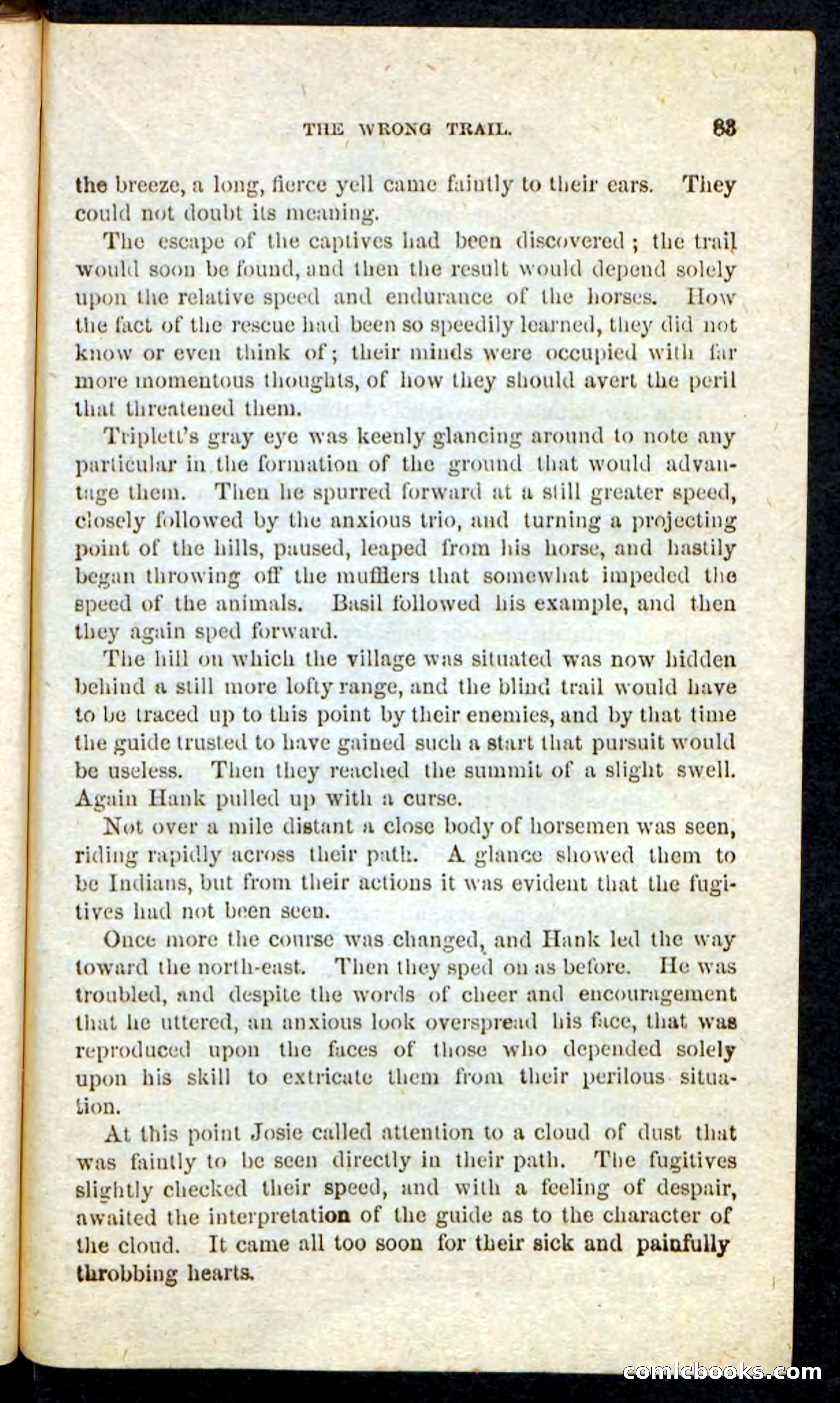 Beadle's Pocket Novels No. 163 — page 79 of 100