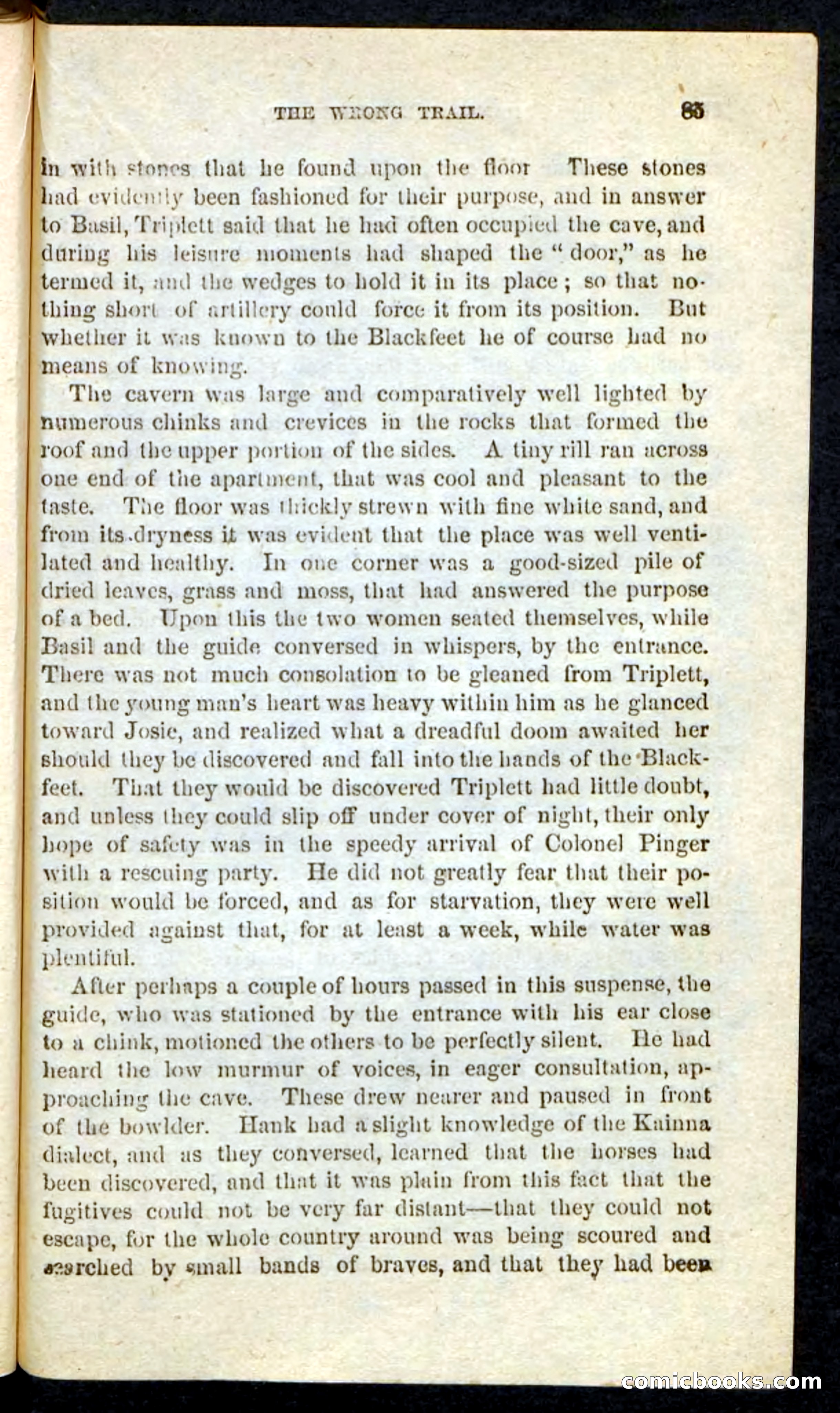 Beadle's Pocket Novels No. 163 — page 81 of 100