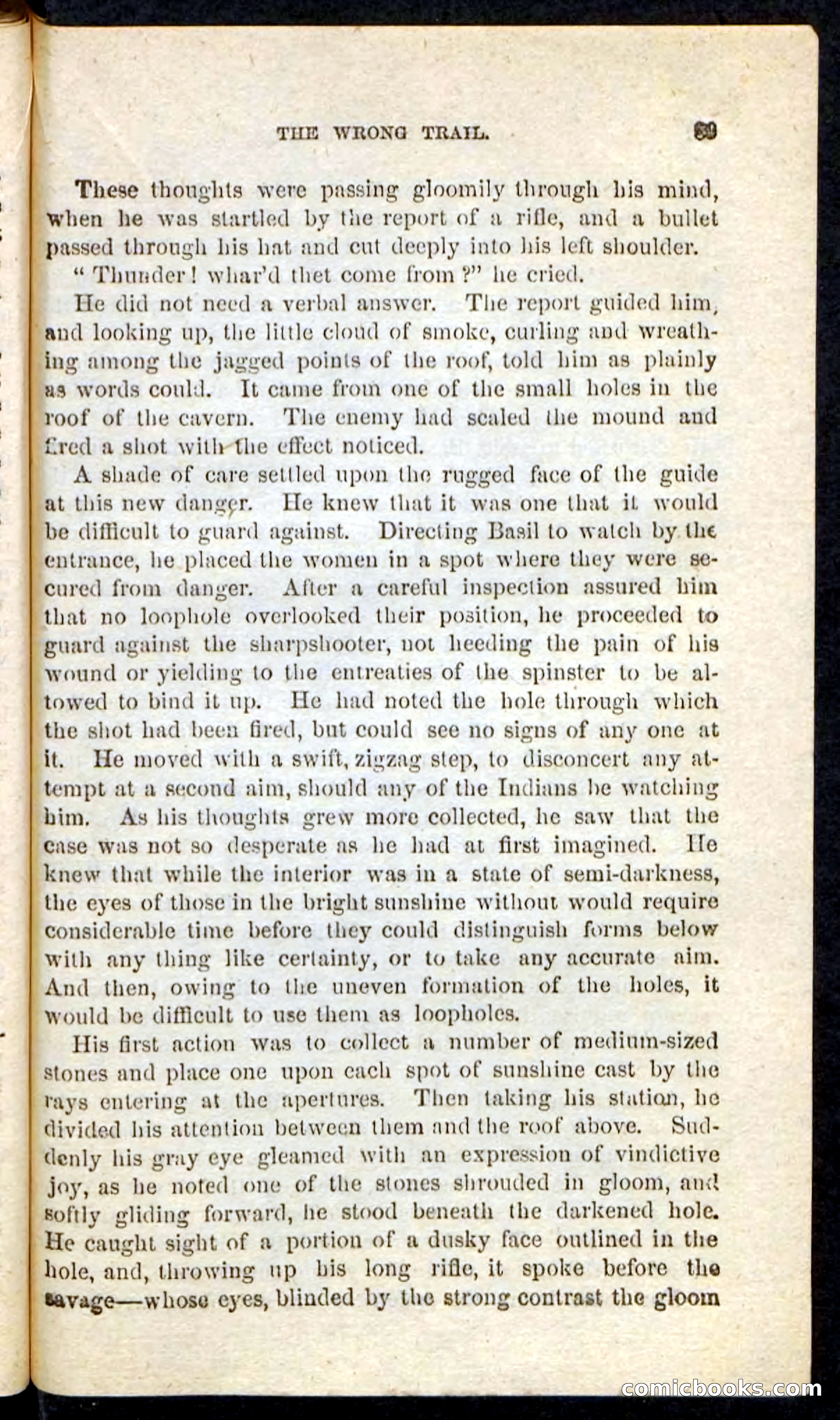 Beadle's Pocket Novels No. 163 — page 85 of 100