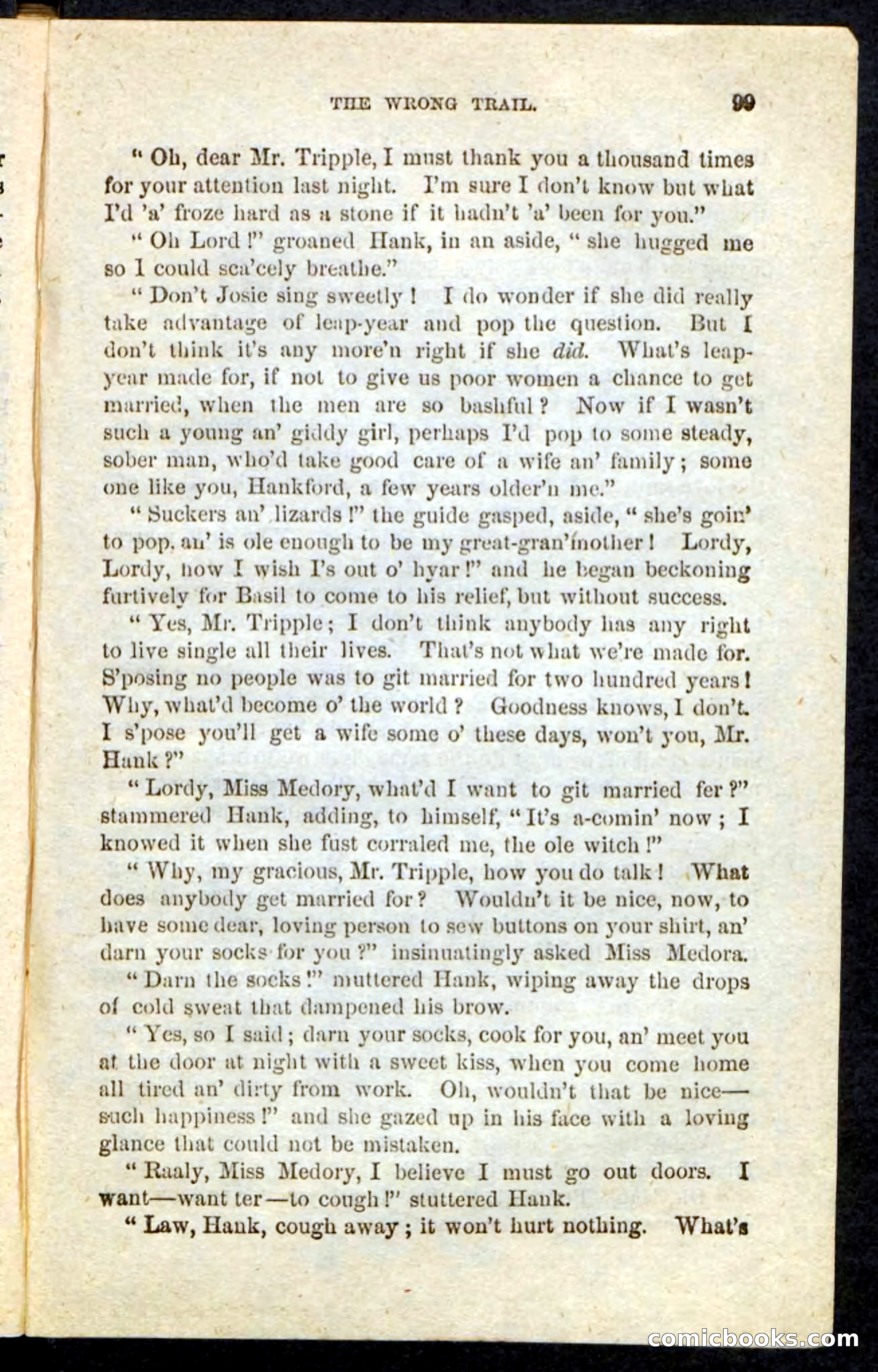 Beadle's Pocket Novels No. 163 — page 95 of 100