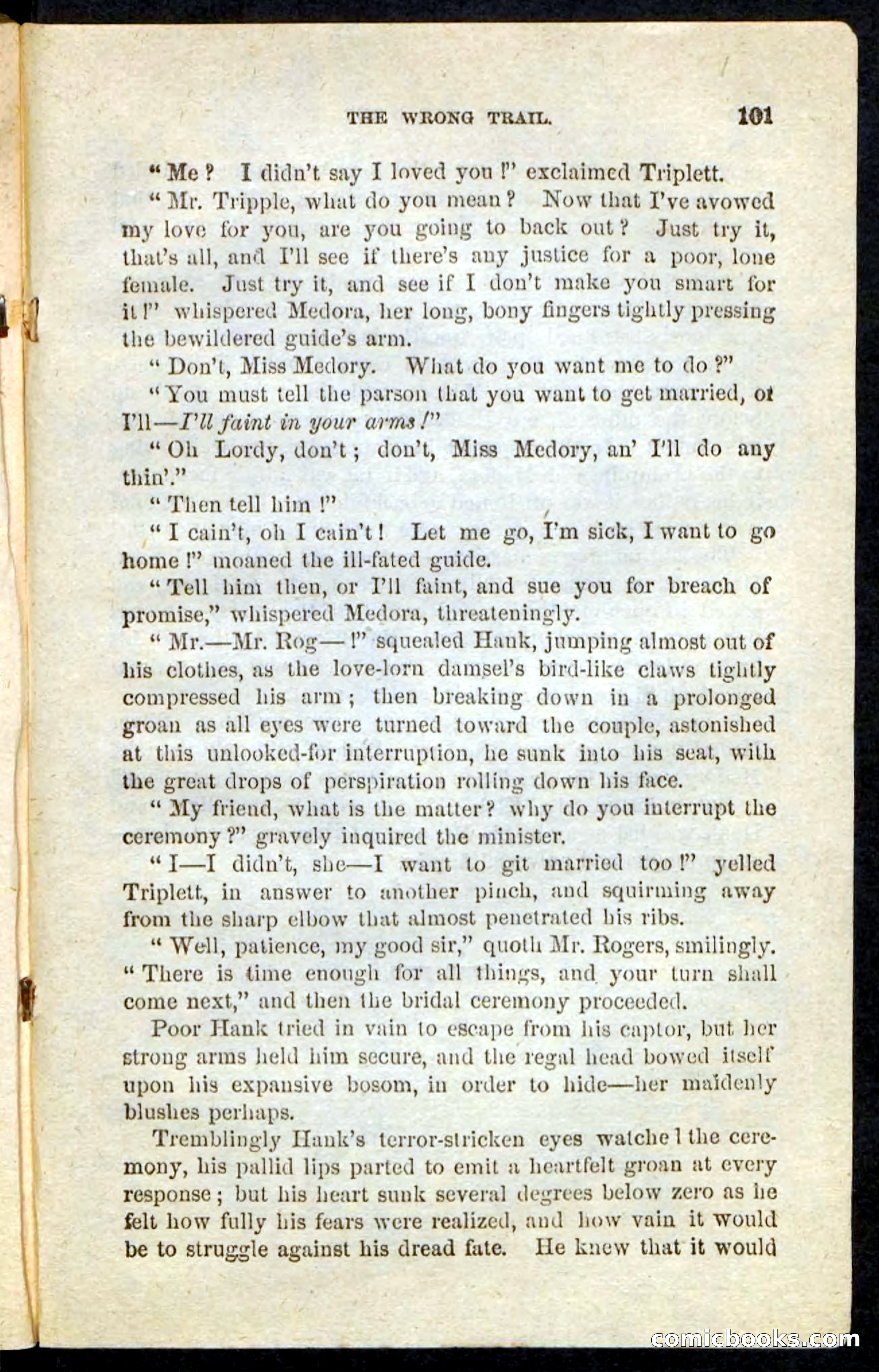 Beadle's Pocket Novels No. 163 — page 97 of 100