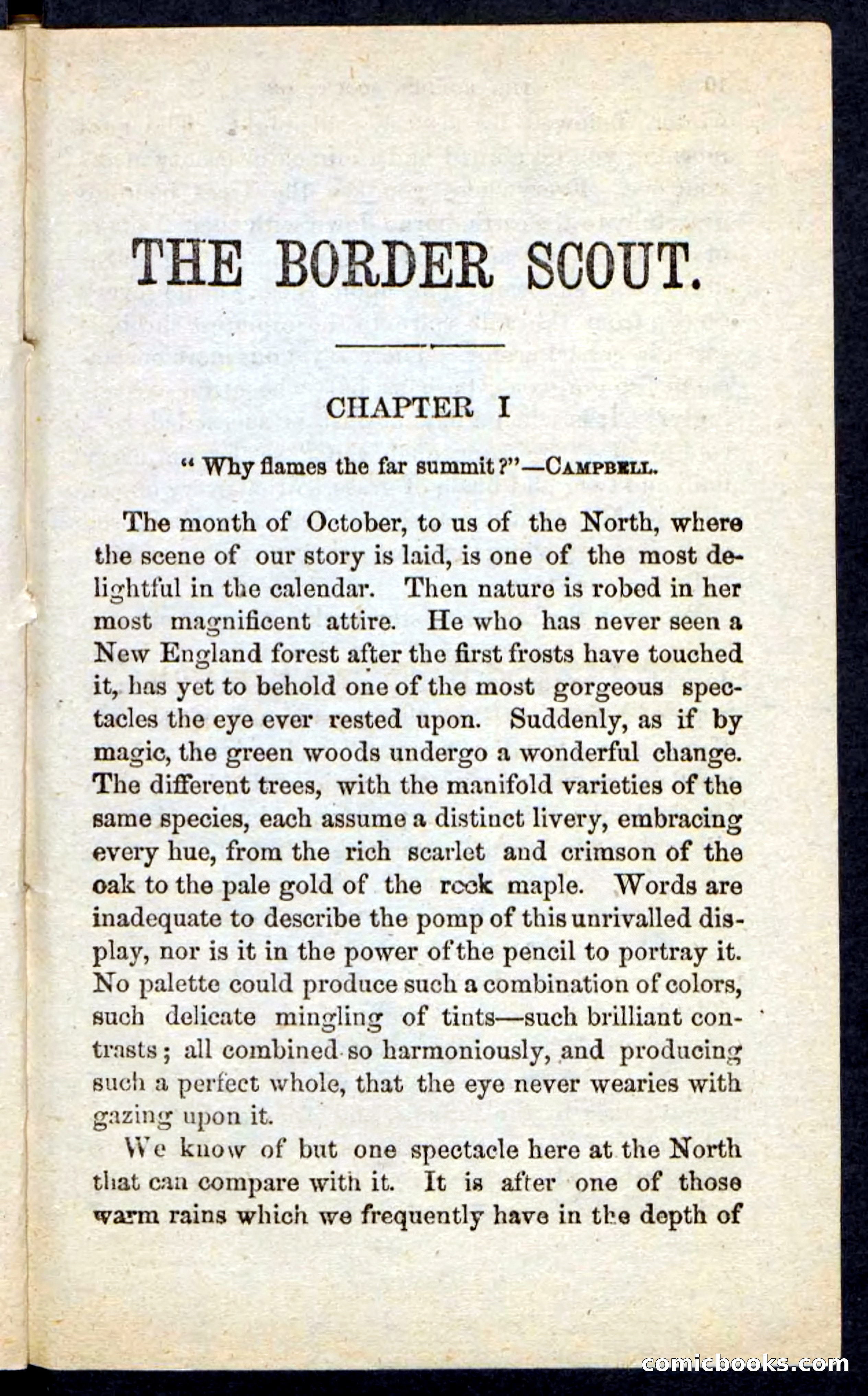 The Border Scout — page 5 of 100