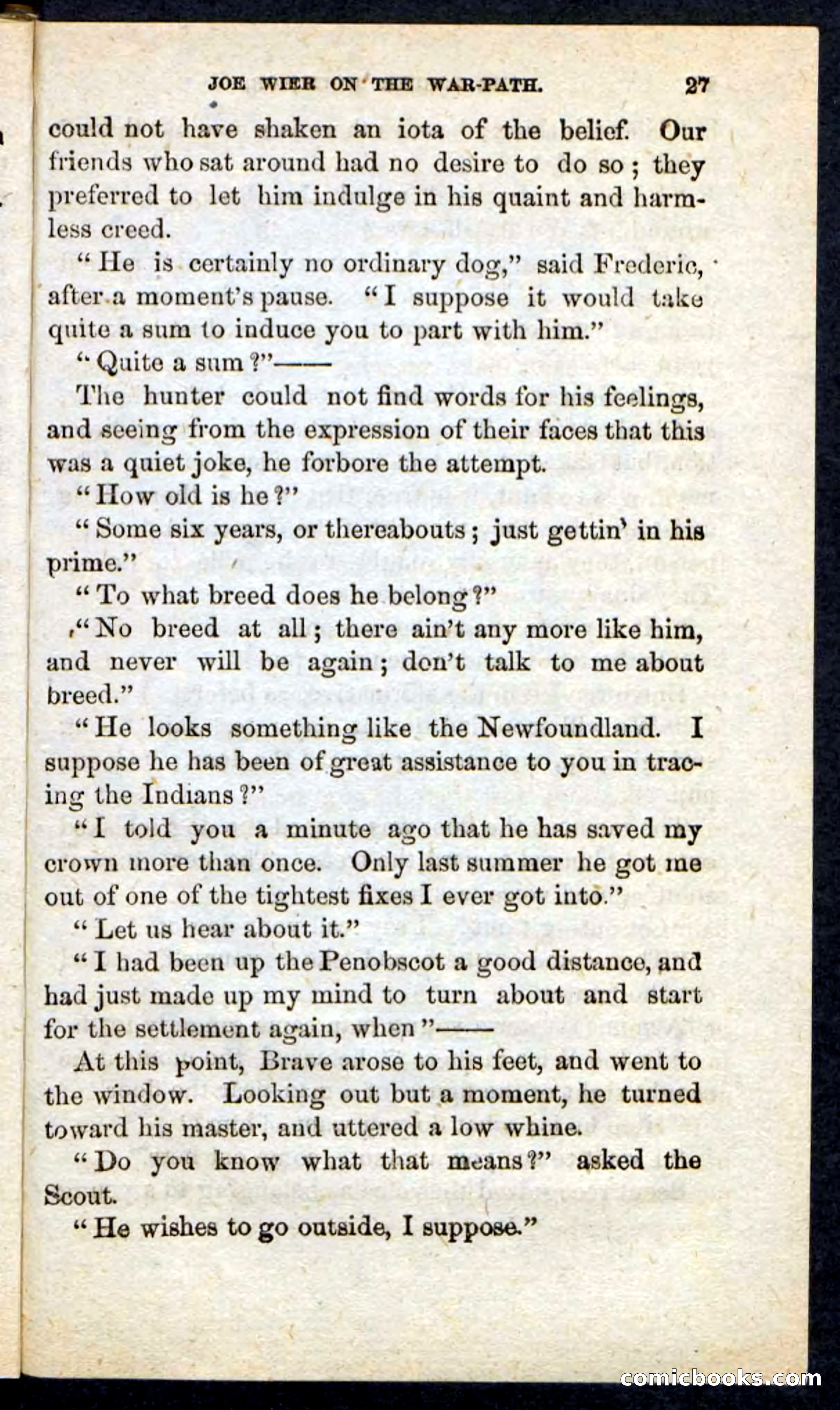 The Border Scout — page 23 of 100