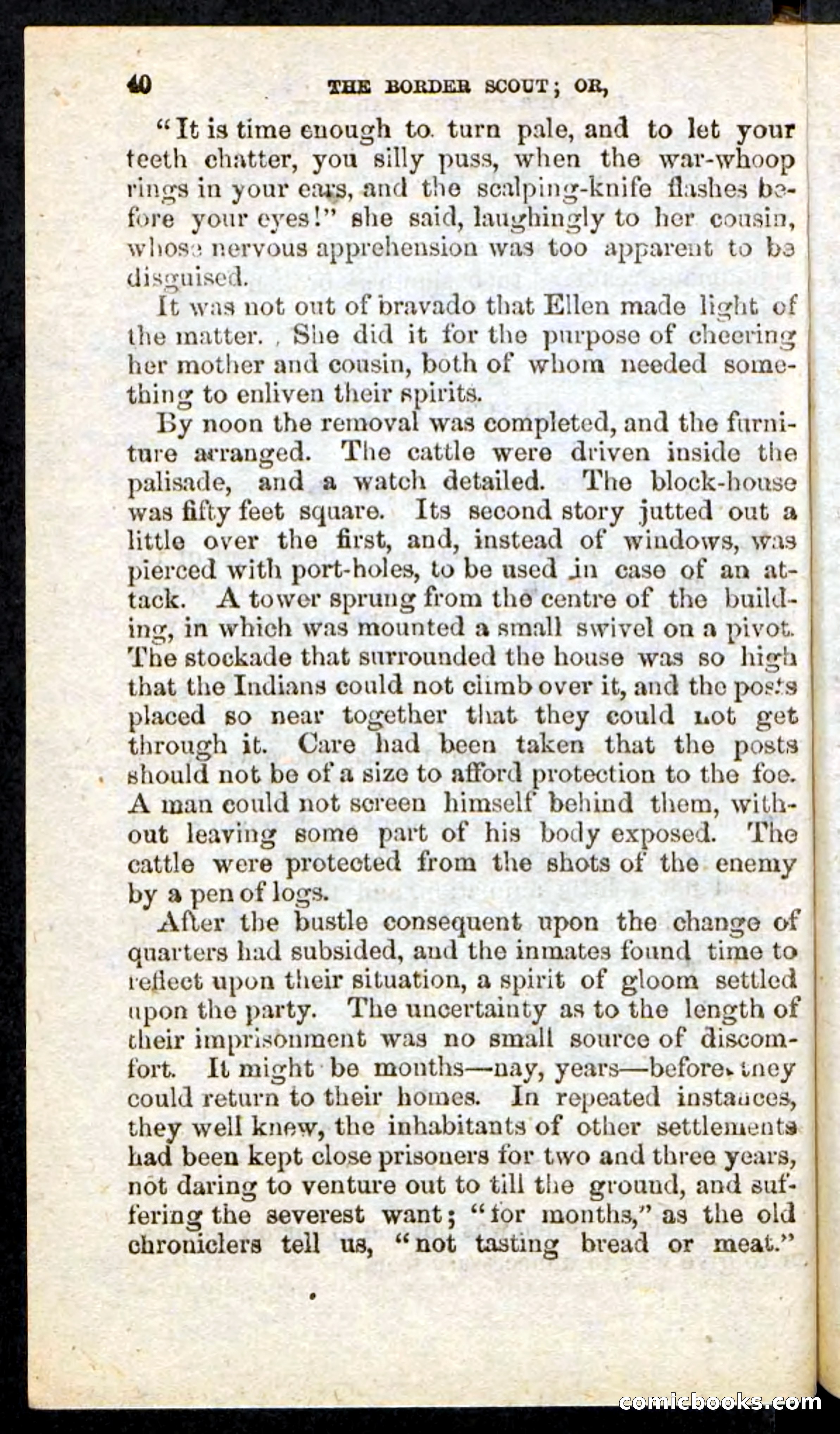 The Border Scout — page 36 of 100