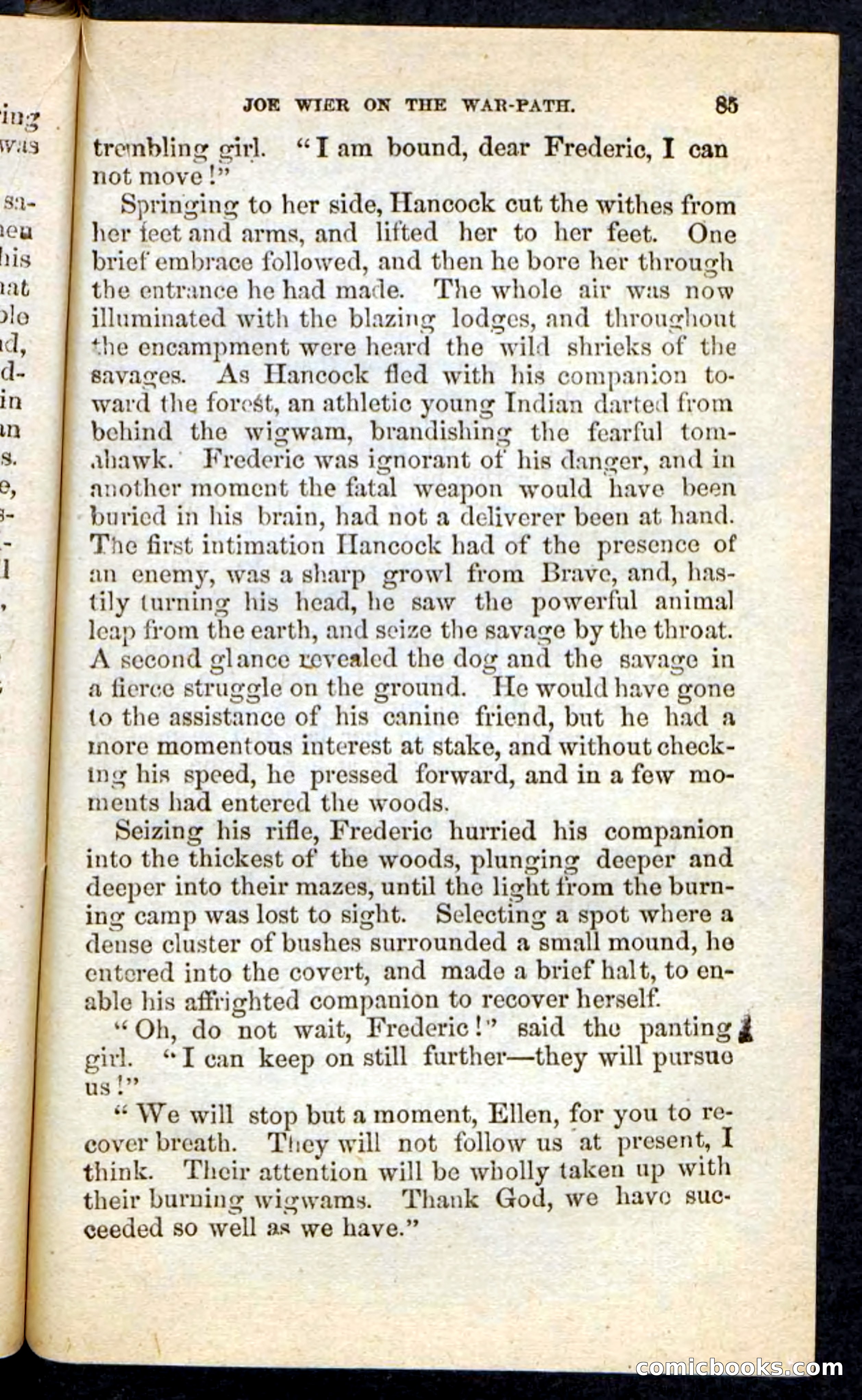 The Border Scout — page 81 of 100