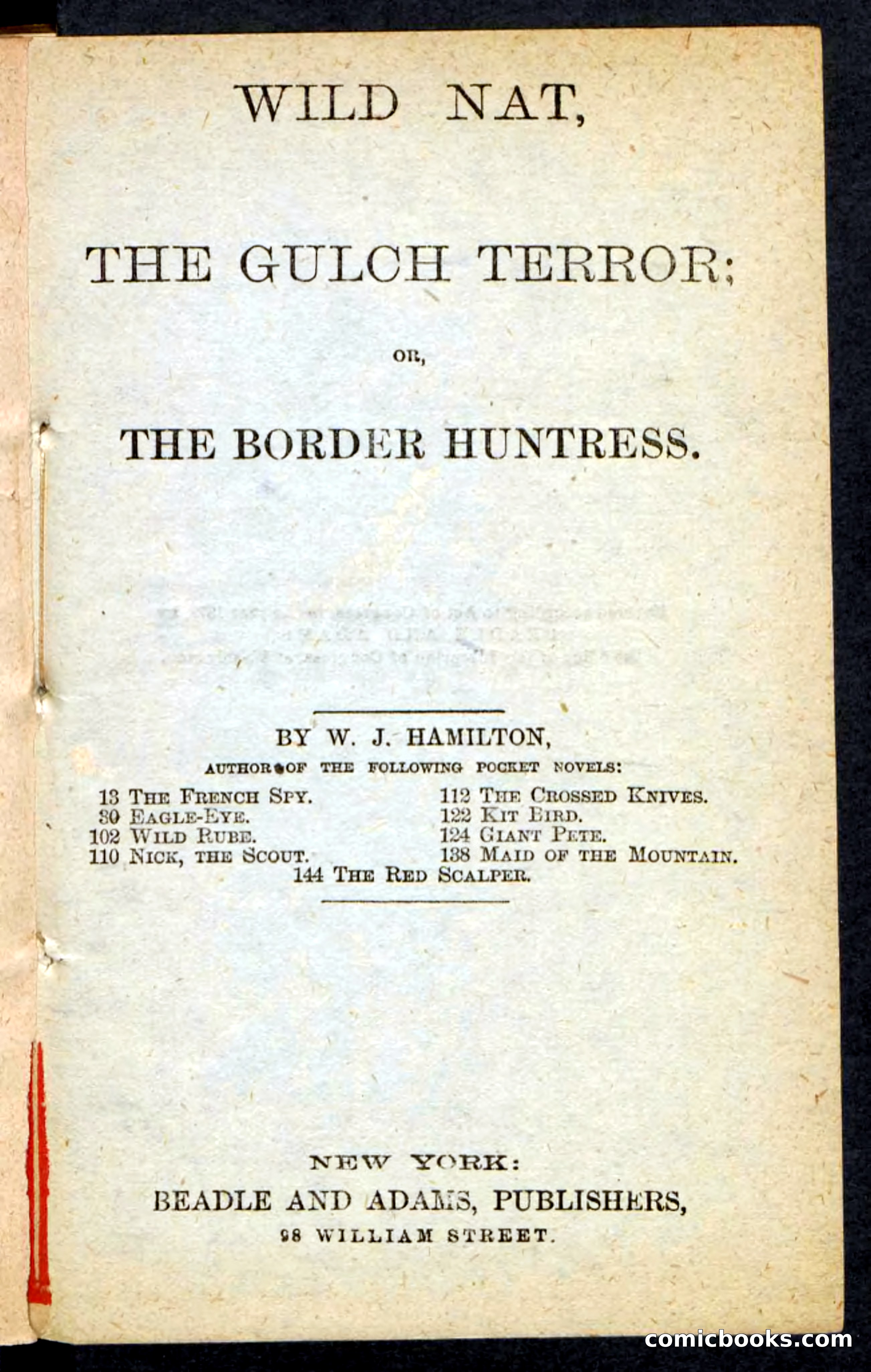 Beadle's Pocket Novels No. 165: Wild Nat, the Gulch Terror — page 3 of 100