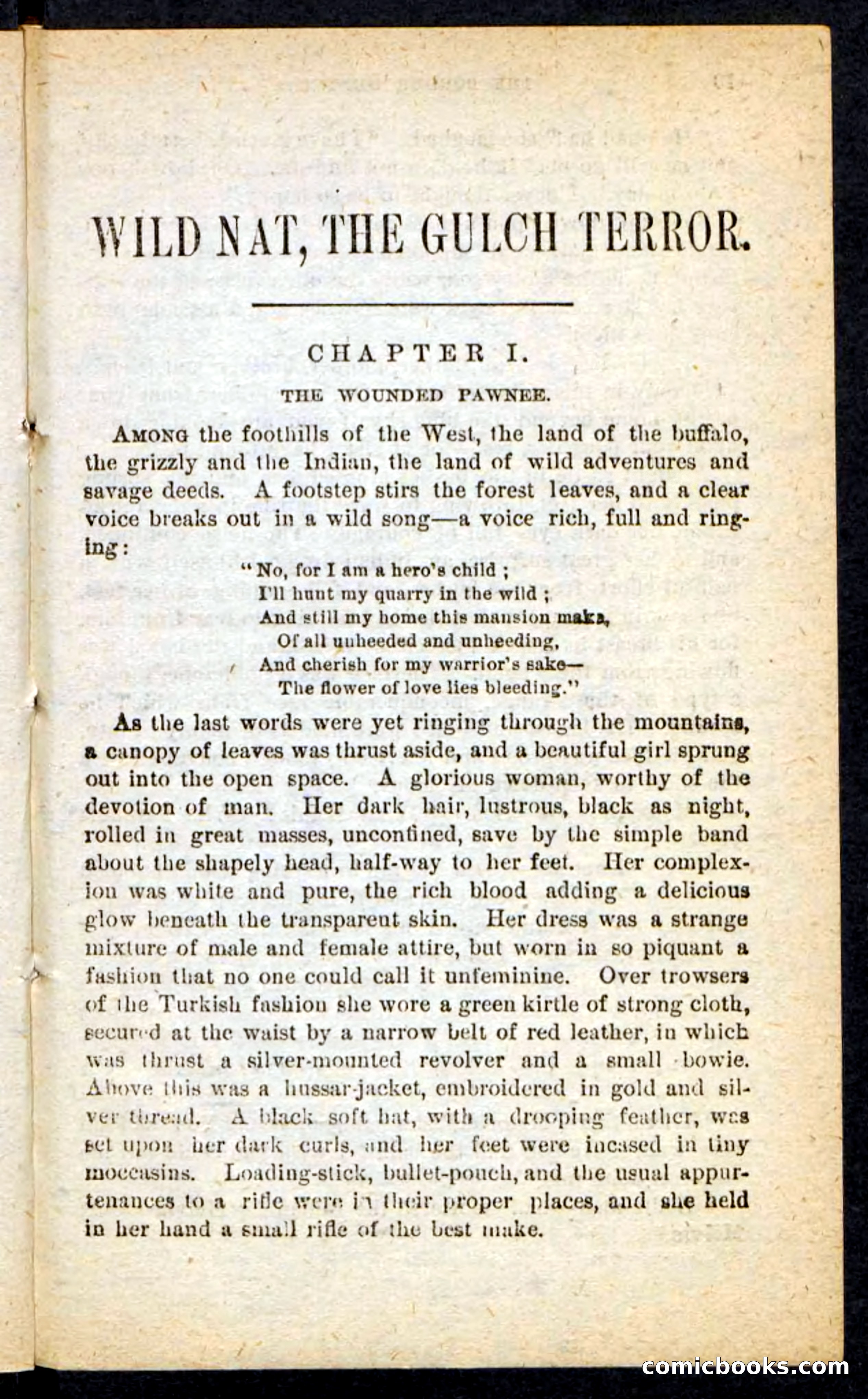 Beadle's Pocket Novels No. 165: Wild Nat, the Gulch Terror — page 5 of 100