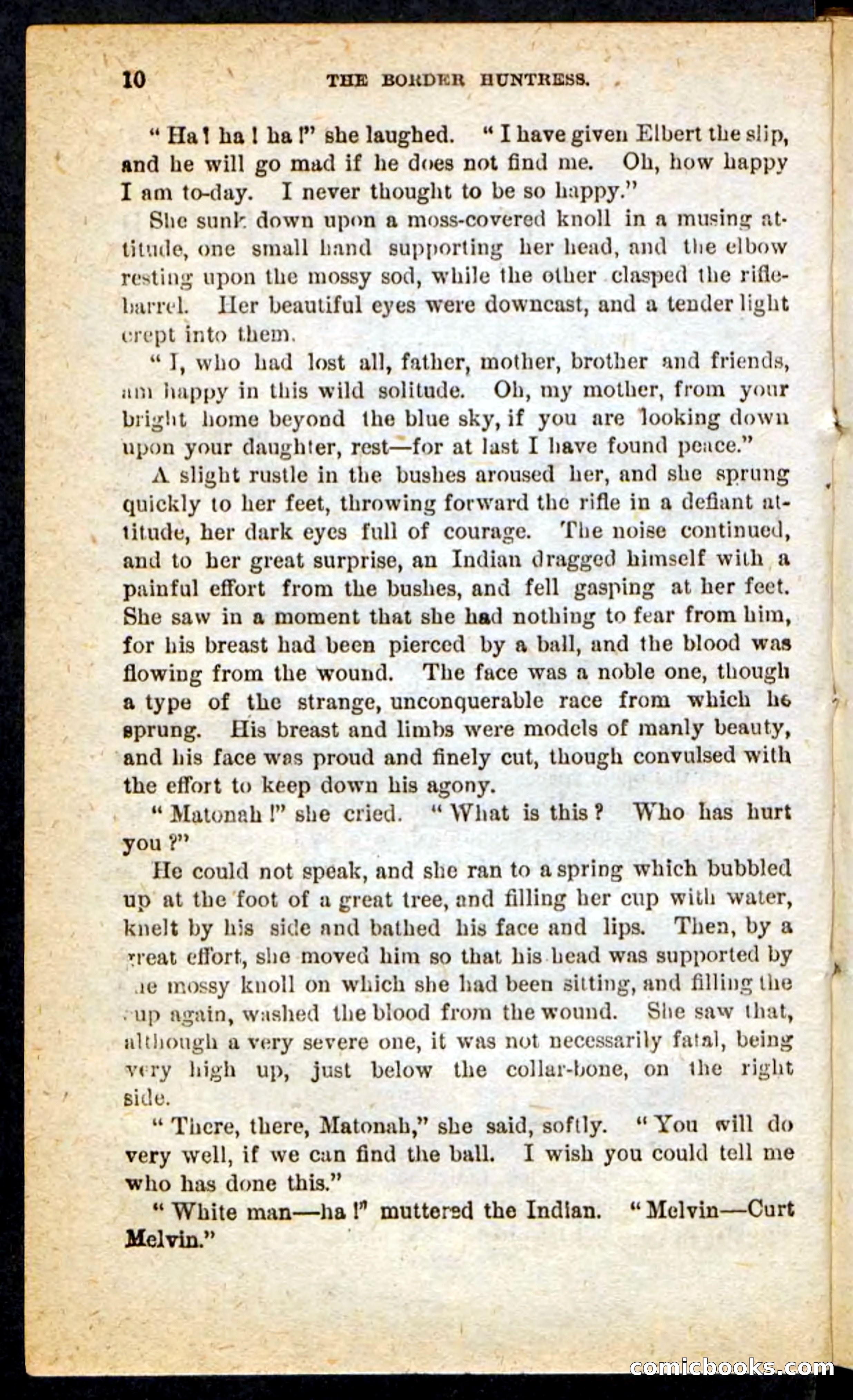 Beadle's Pocket Novels No. 165: Wild Nat, the Gulch Terror — page 6 of 100