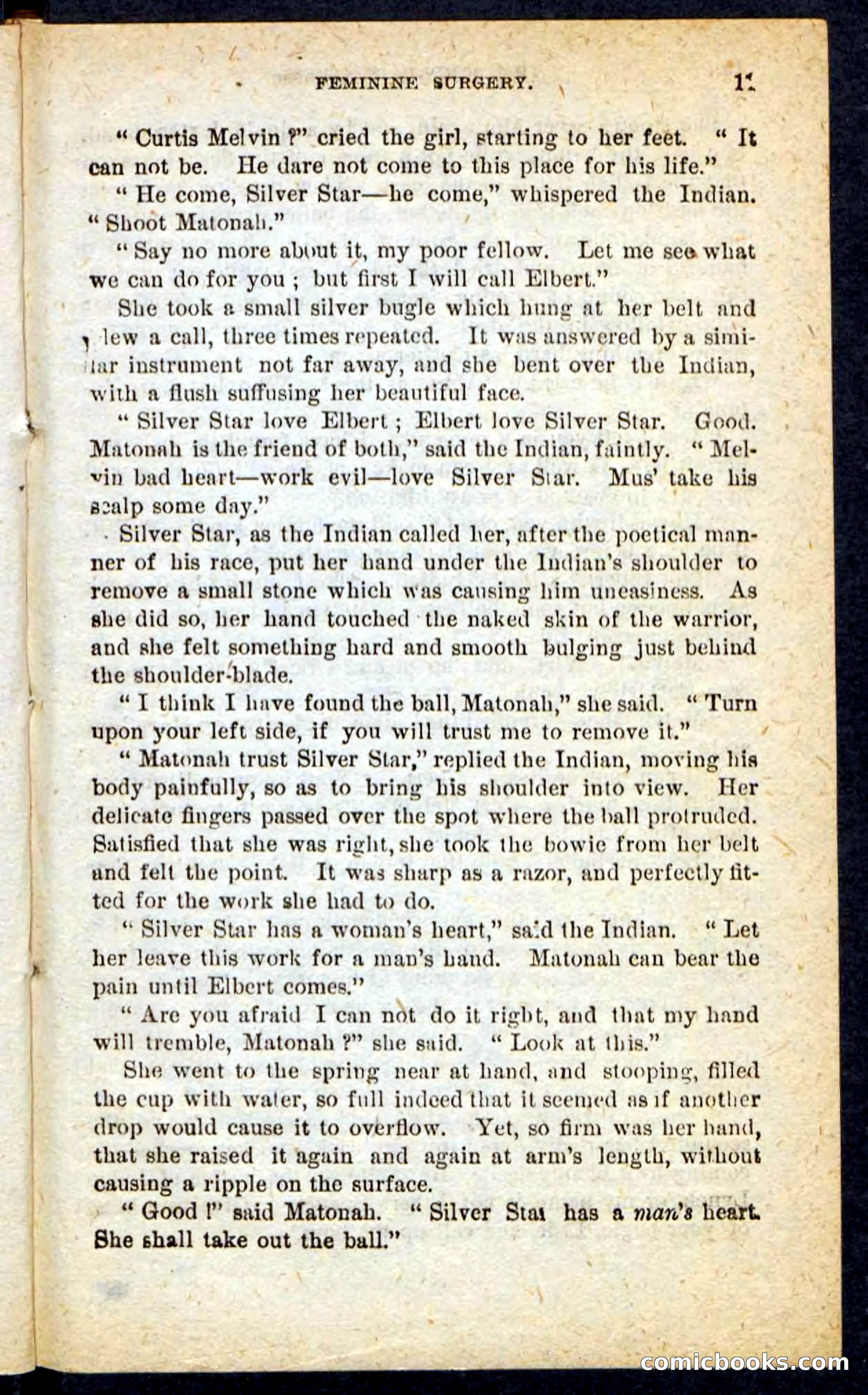 Beadle's Pocket Novels No. 165: Wild Nat, the Gulch Terror — page 7 of 100