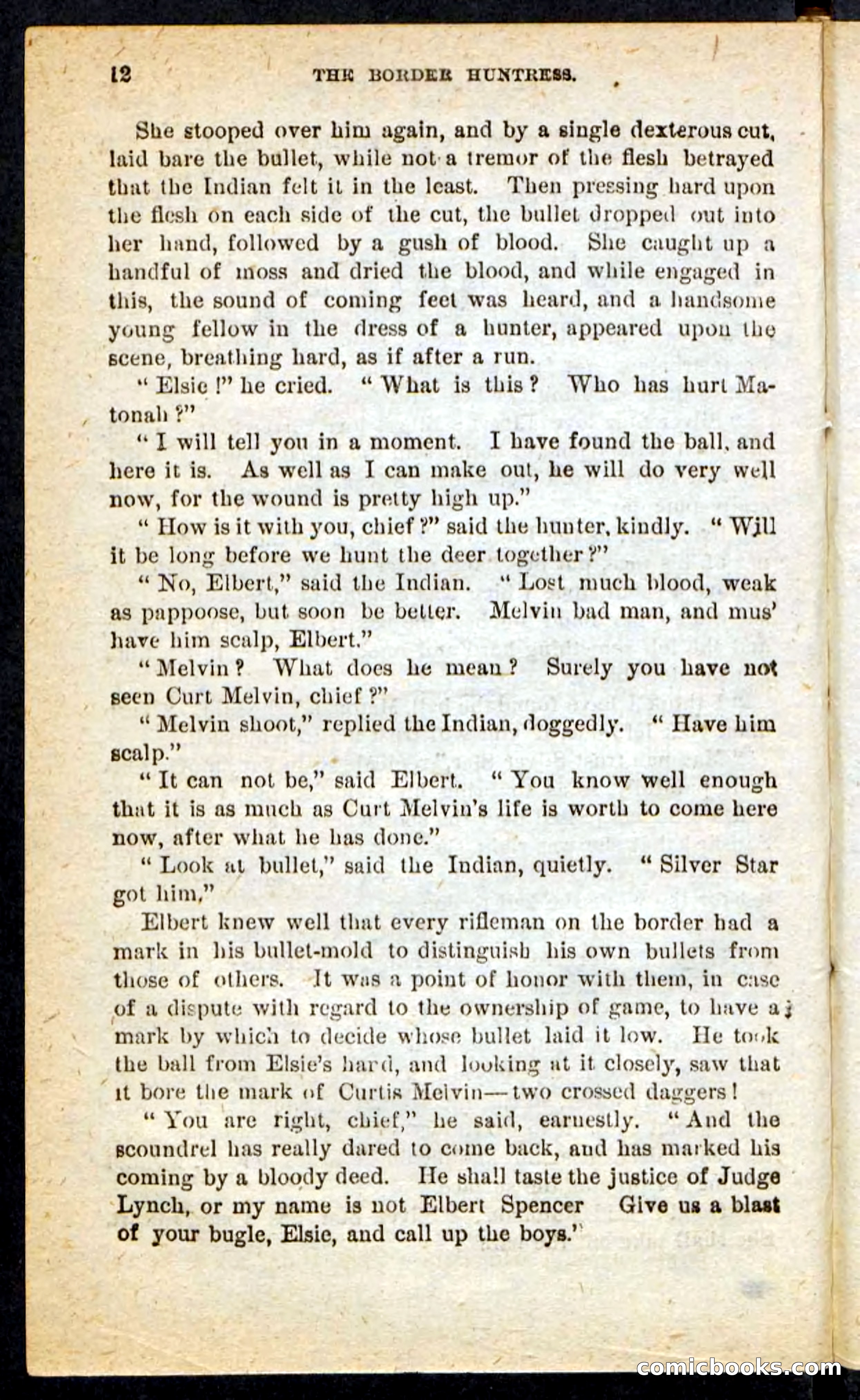 Beadle's Pocket Novels No. 165: Wild Nat, the Gulch Terror — page 8 of 100