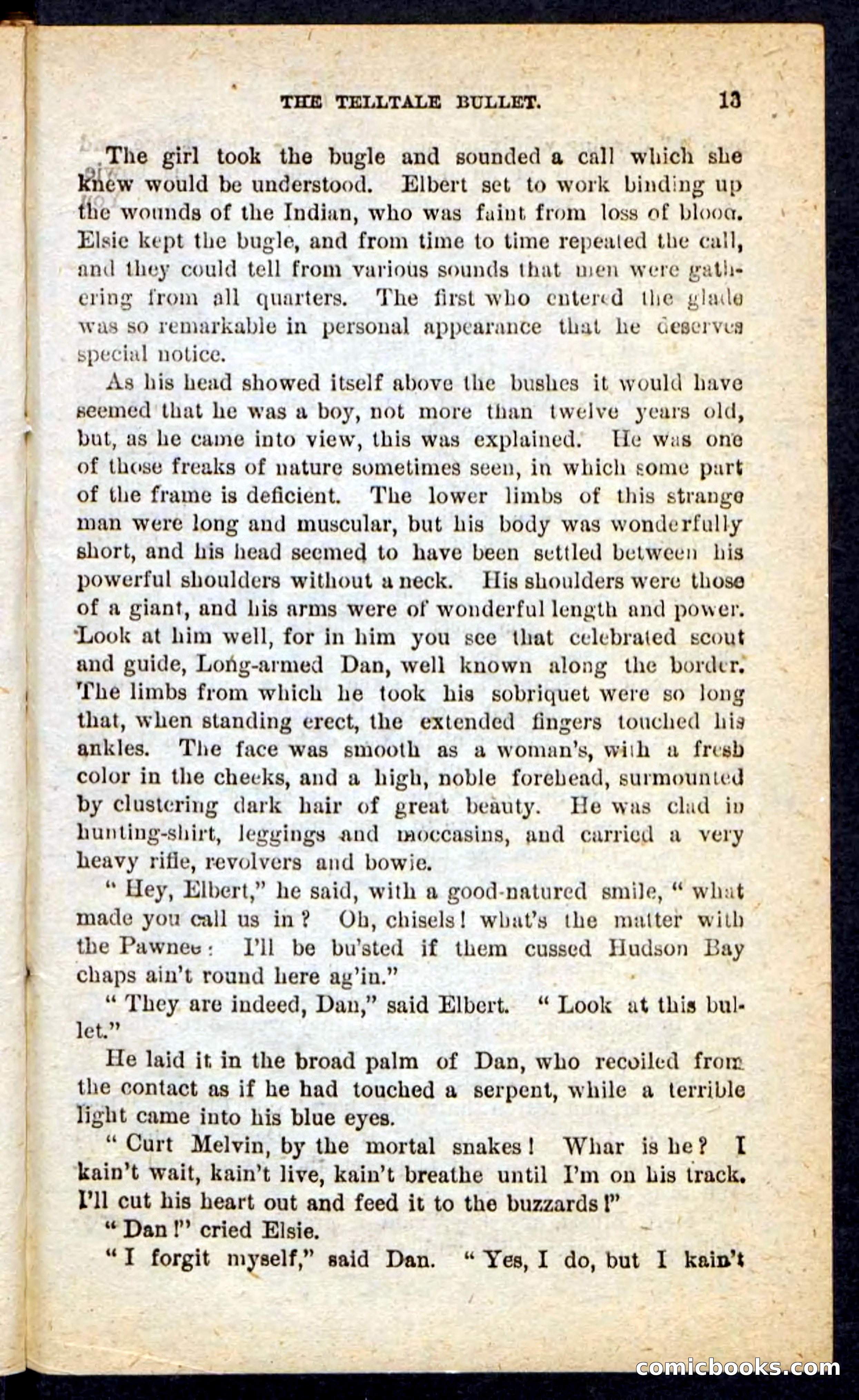 Beadle's Pocket Novels No. 165: Wild Nat, the Gulch Terror — page 9 of 100