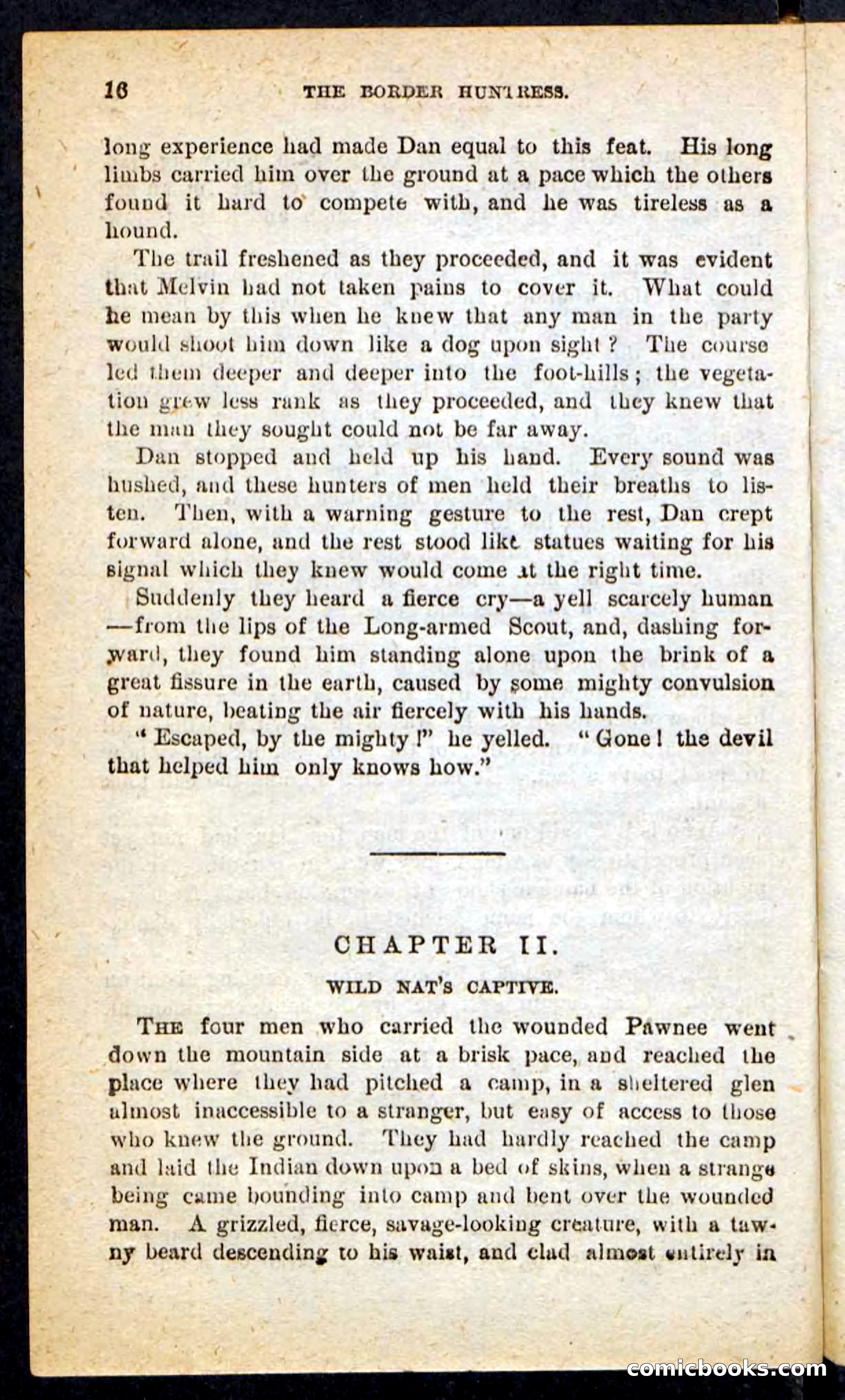 Beadle's Pocket Novels No. 165: Wild Nat, the Gulch Terror — page 12 of 100