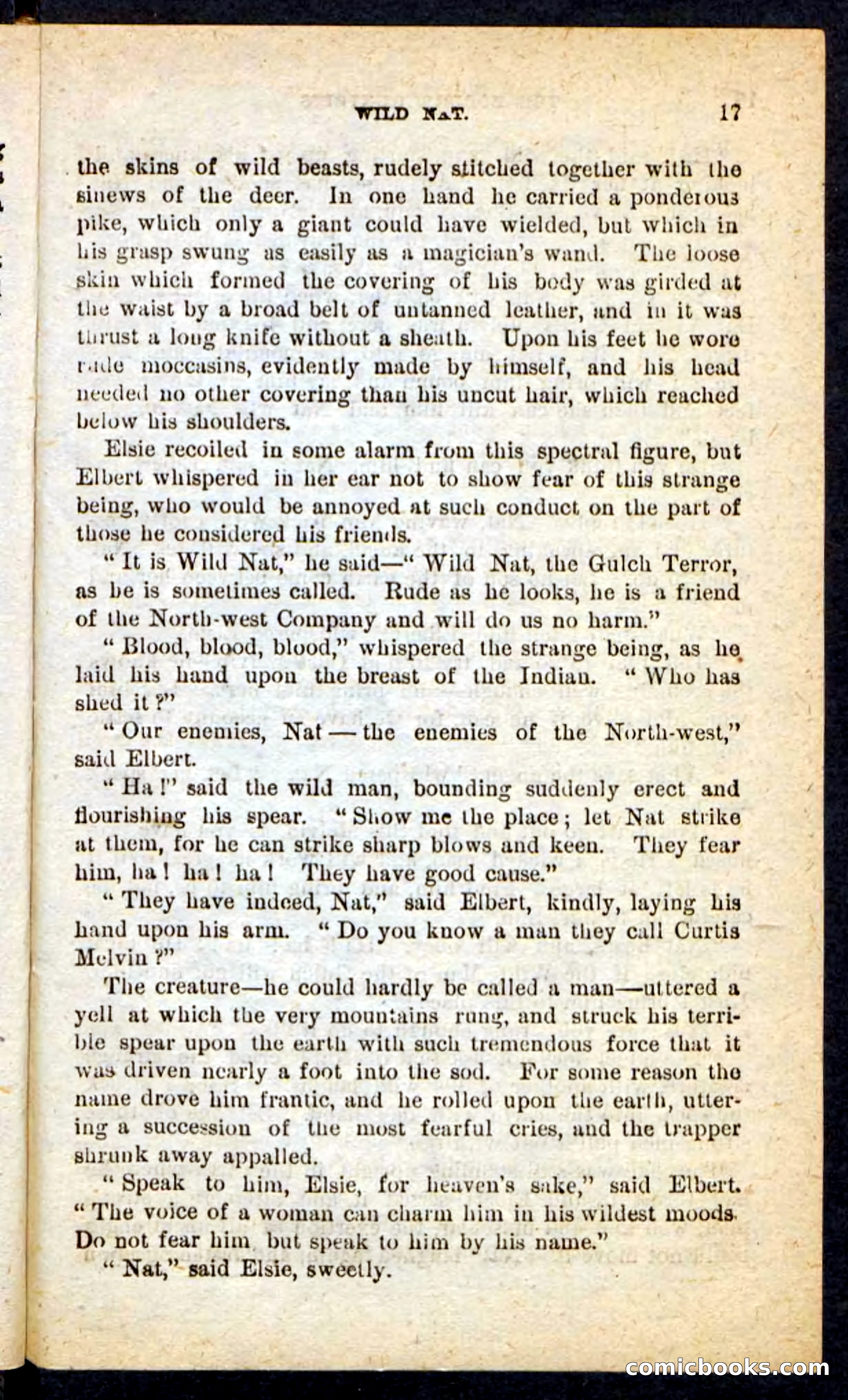 Beadle's Pocket Novels No. 165: Wild Nat, the Gulch Terror — page 13 of 100