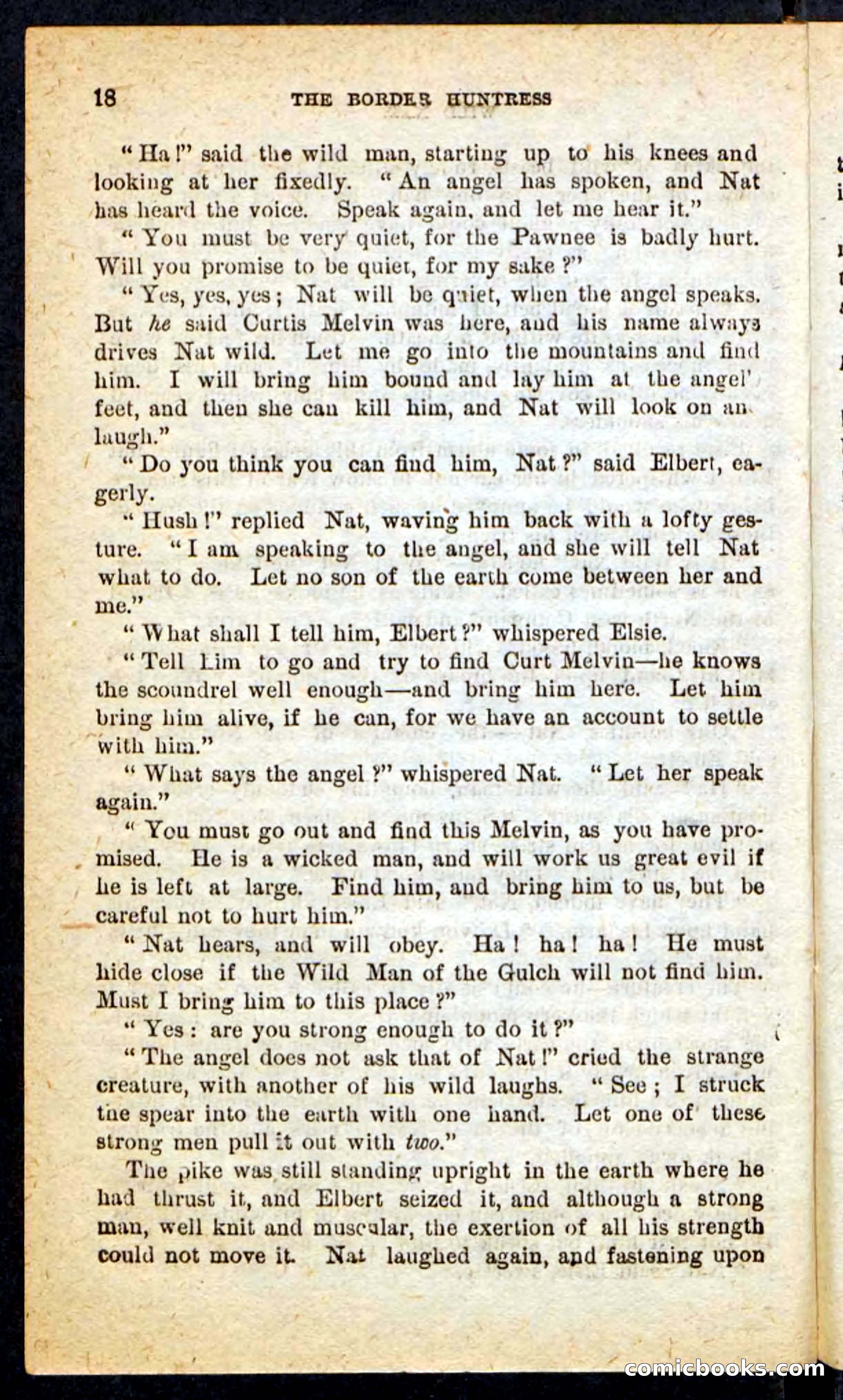 Beadle's Pocket Novels No. 165: Wild Nat, the Gulch Terror — page 14 of 100