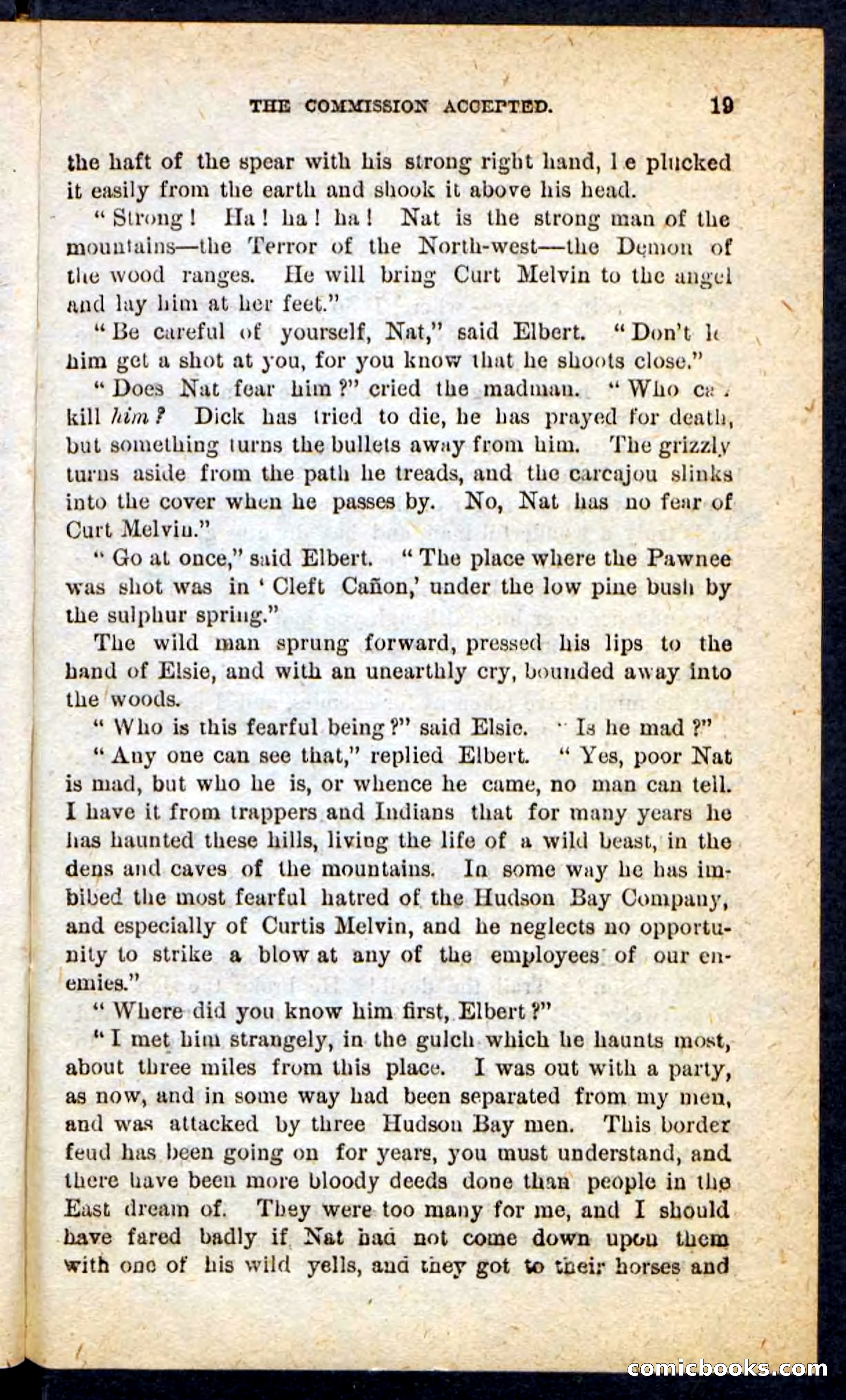 Beadle's Pocket Novels No. 165: Wild Nat, the Gulch Terror — page 15 of 100