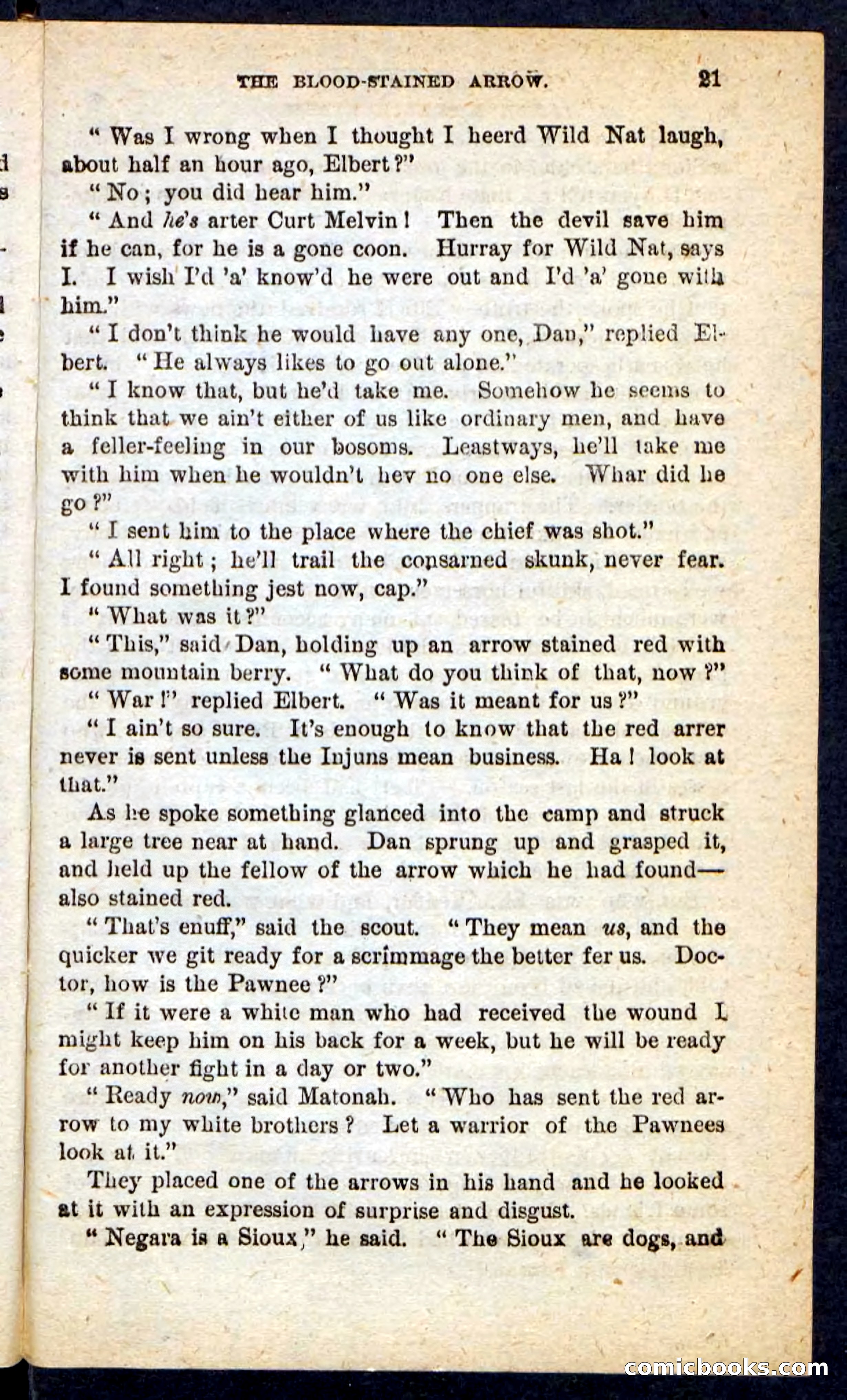 Beadle's Pocket Novels No. 165: Wild Nat, the Gulch Terror — page 17 of 100