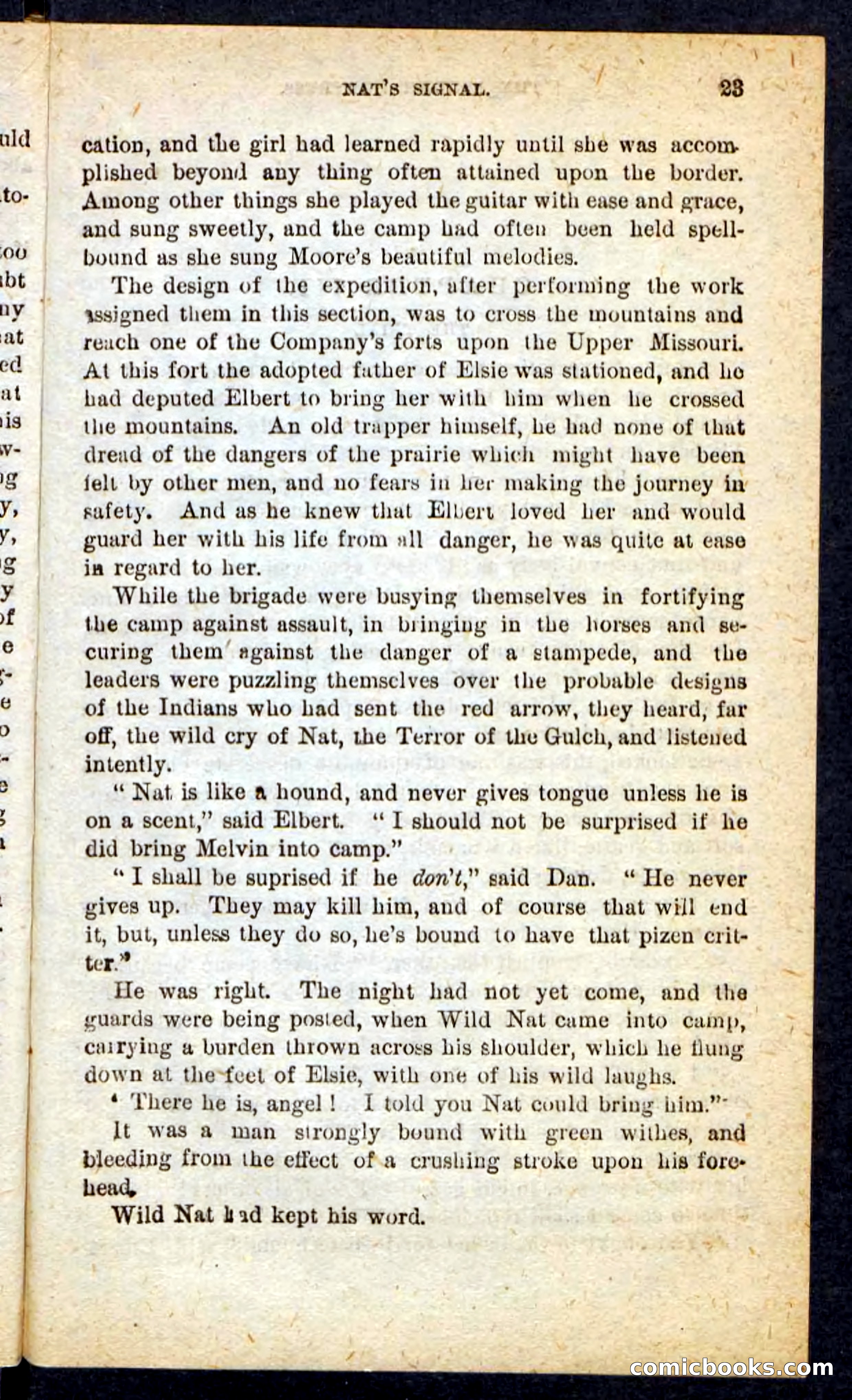 Beadle's Pocket Novels No. 165: Wild Nat, the Gulch Terror — page 19 of 100