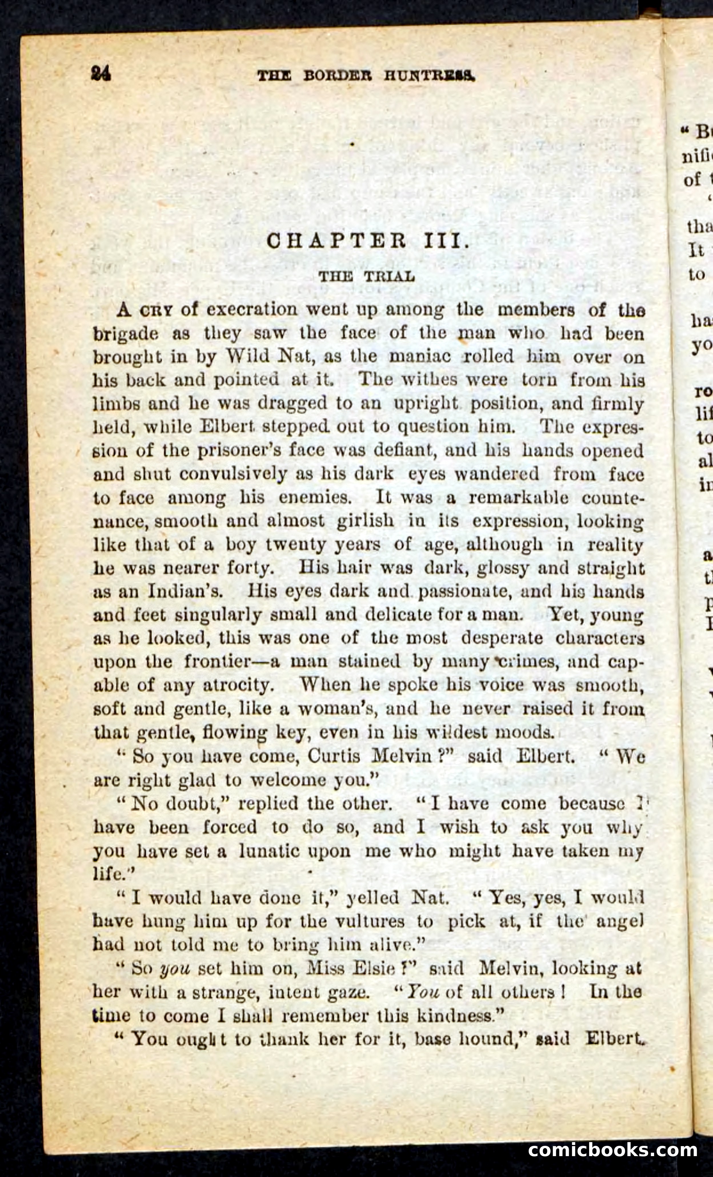 Beadle's Pocket Novels No. 165: Wild Nat, the Gulch Terror — page 20 of 100