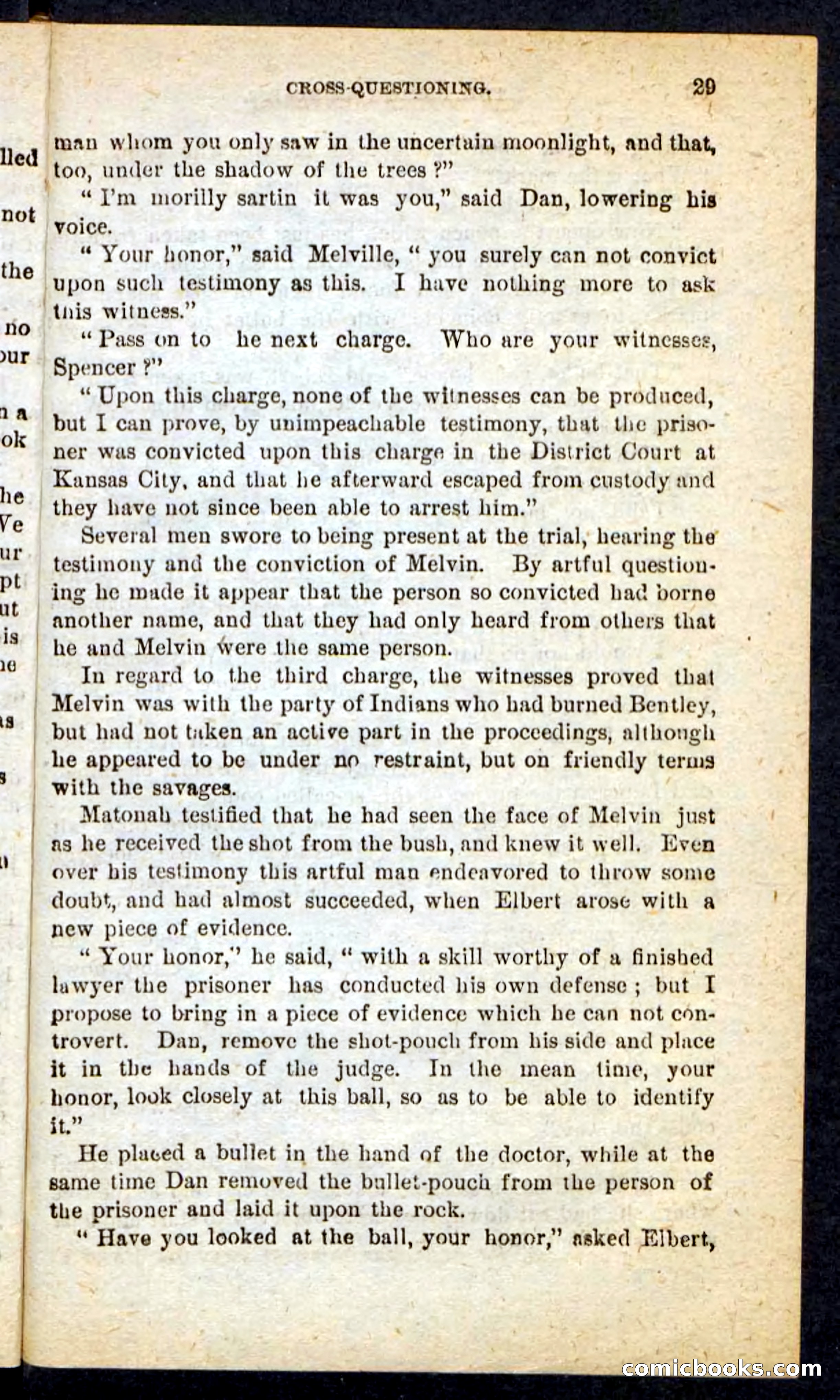 Beadle's Pocket Novels No. 165: Wild Nat, the Gulch Terror — page 25 of 100