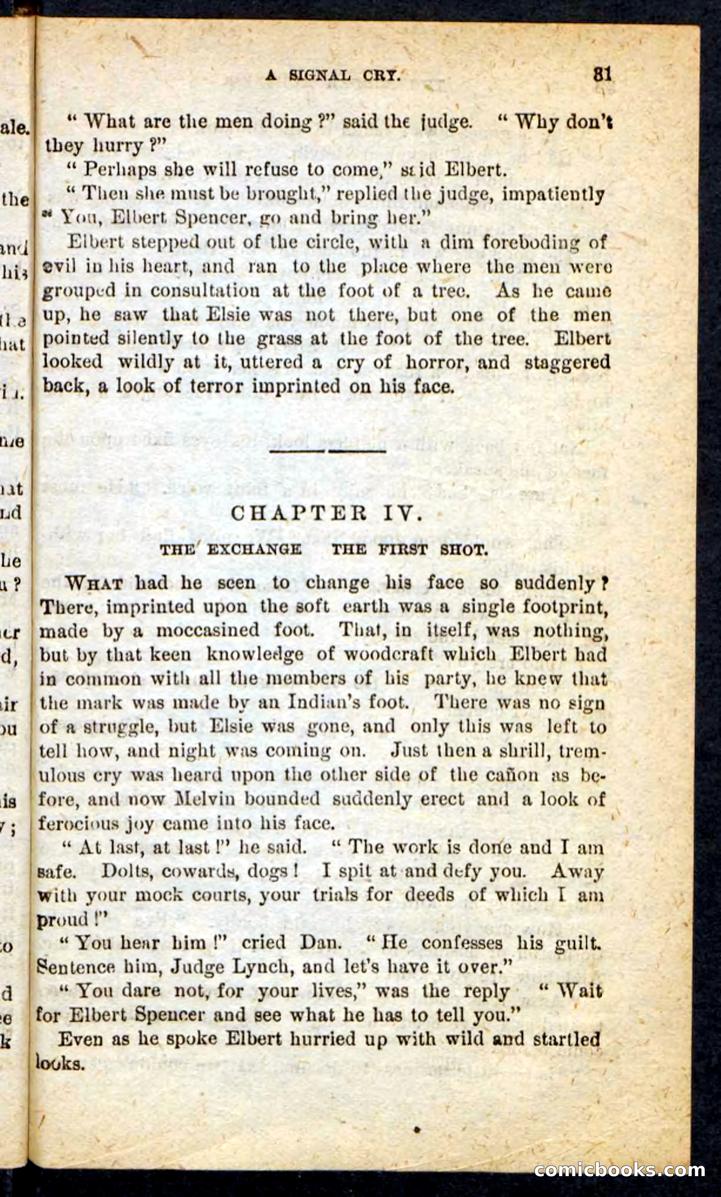 Beadle's Pocket Novels No. 165: Wild Nat, the Gulch Terror — page 27 of 100