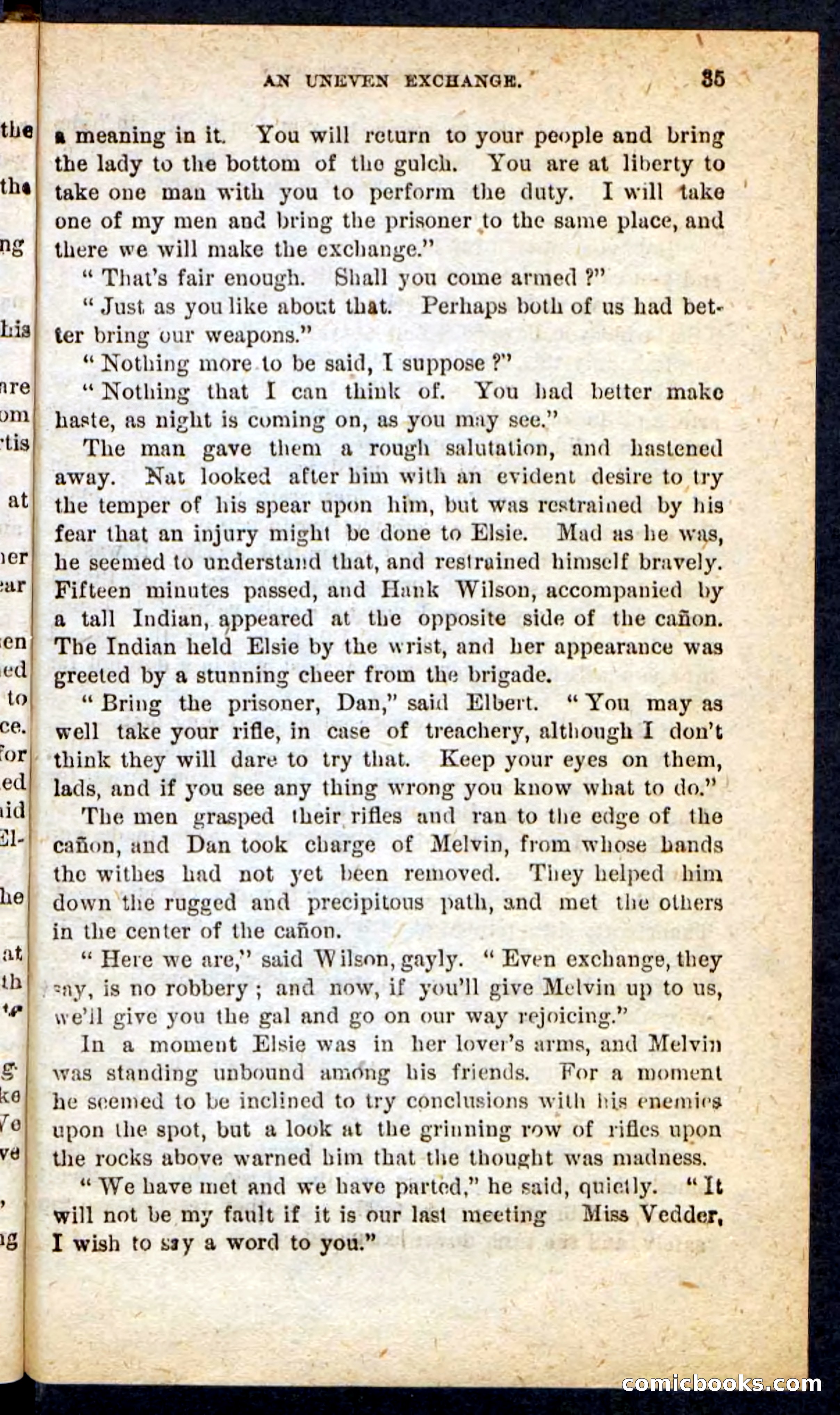 Beadle's Pocket Novels No. 165: Wild Nat, the Gulch Terror — page 31 of 100