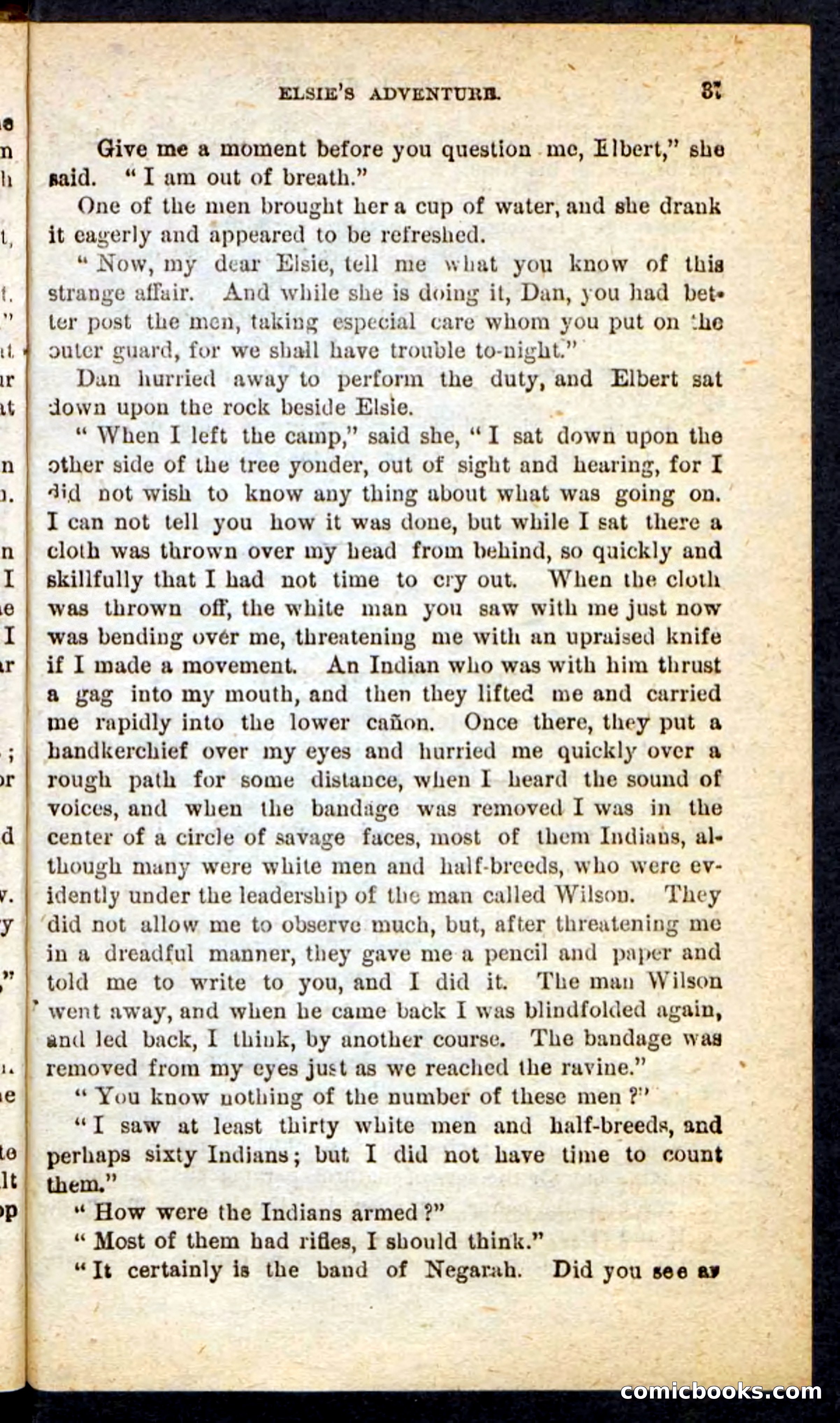 Beadle's Pocket Novels No. 165: Wild Nat, the Gulch Terror — page 33 of 100