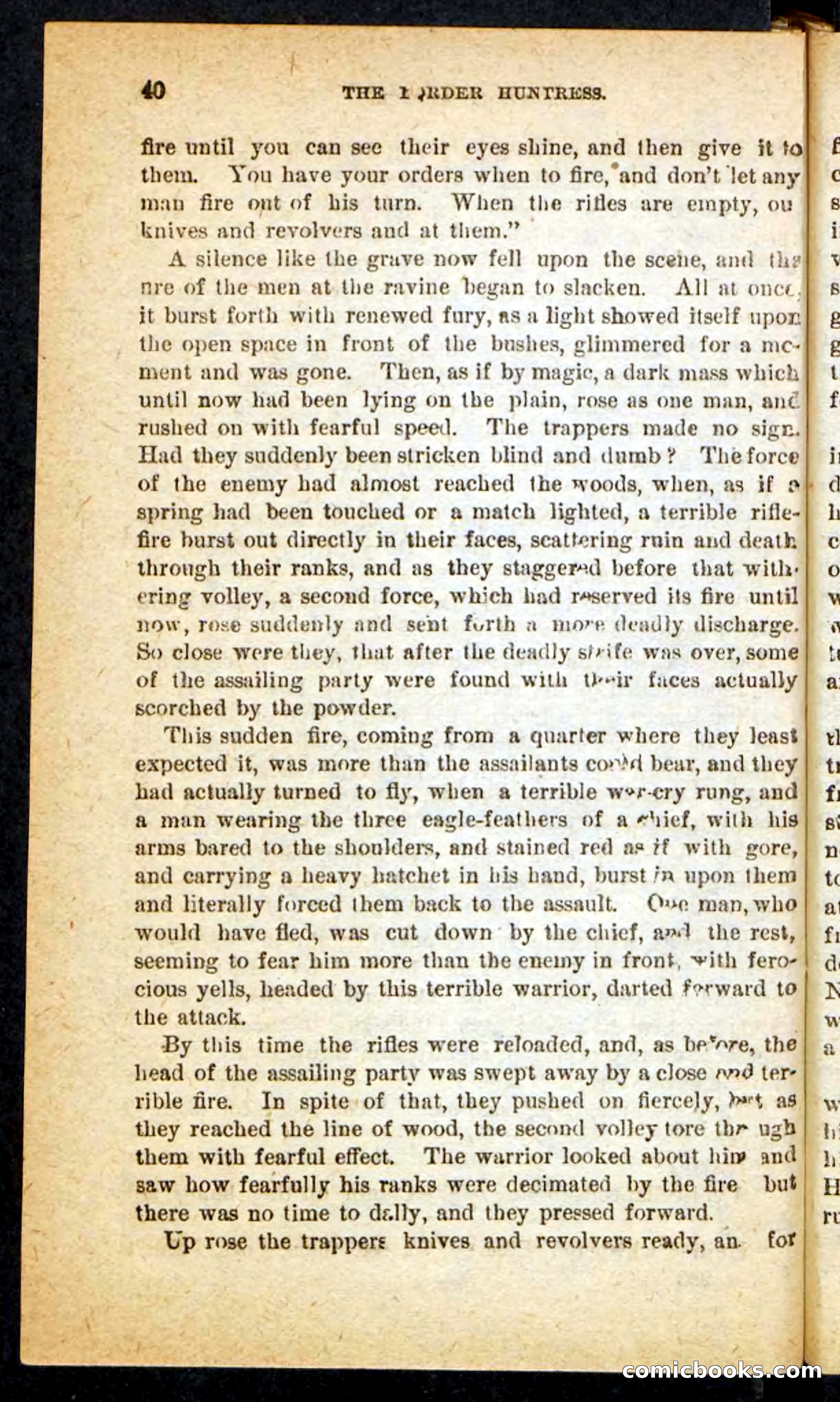 Beadle's Pocket Novels No. 165: Wild Nat, the Gulch Terror — page 36 of 100