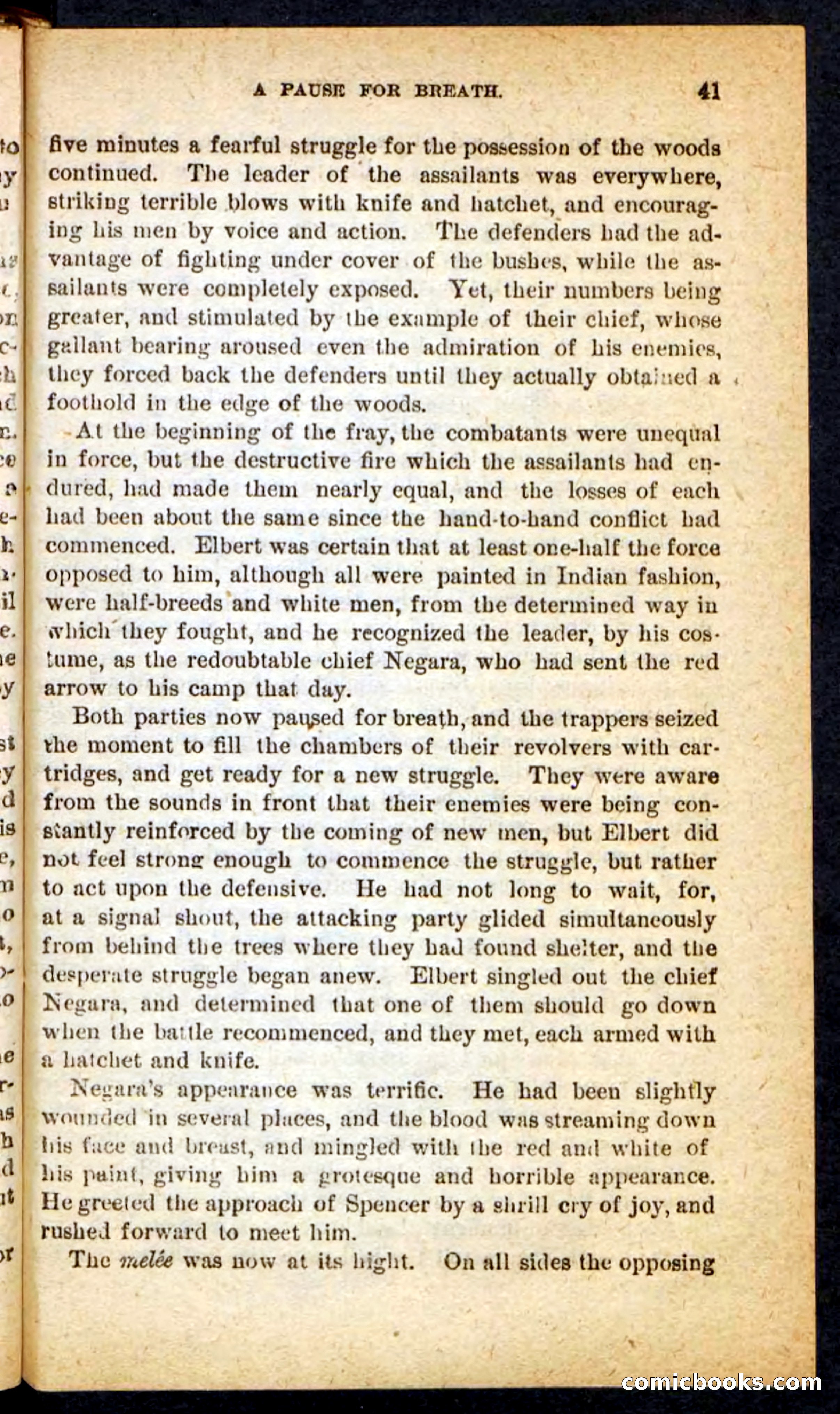 Beadle's Pocket Novels No. 165: Wild Nat, the Gulch Terror — page 37 of 100