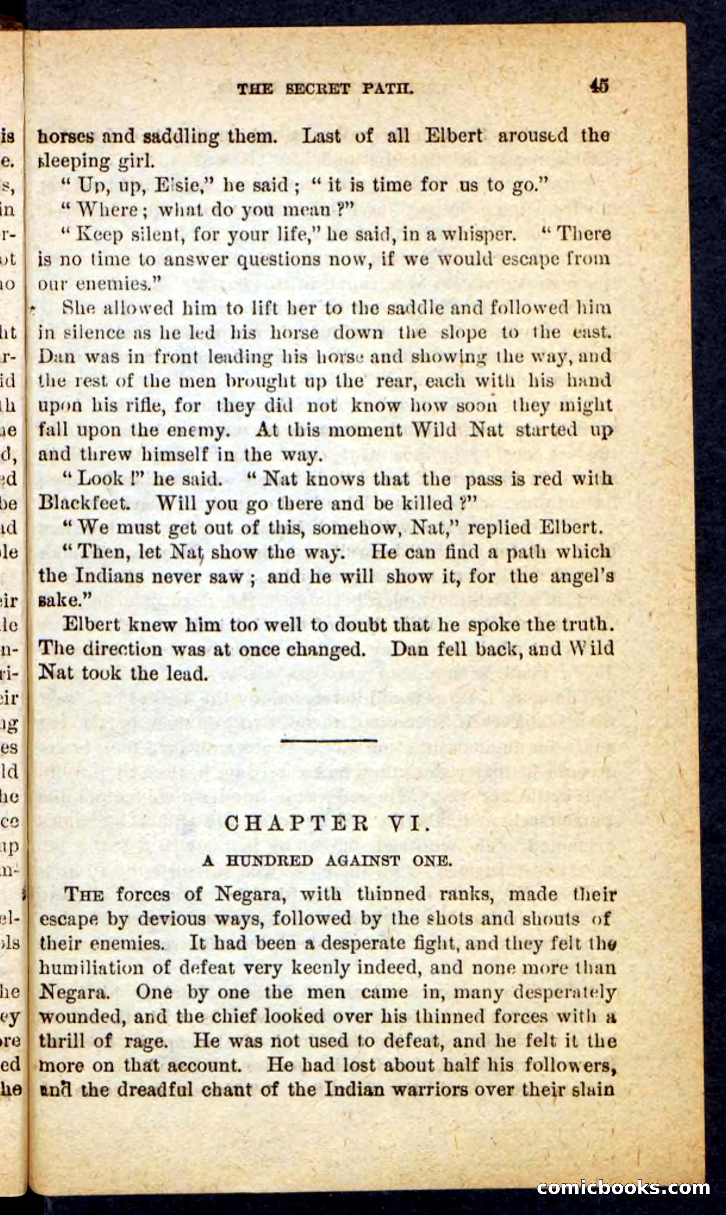 Beadle's Pocket Novels No. 165: Wild Nat, the Gulch Terror — page 41 of 100