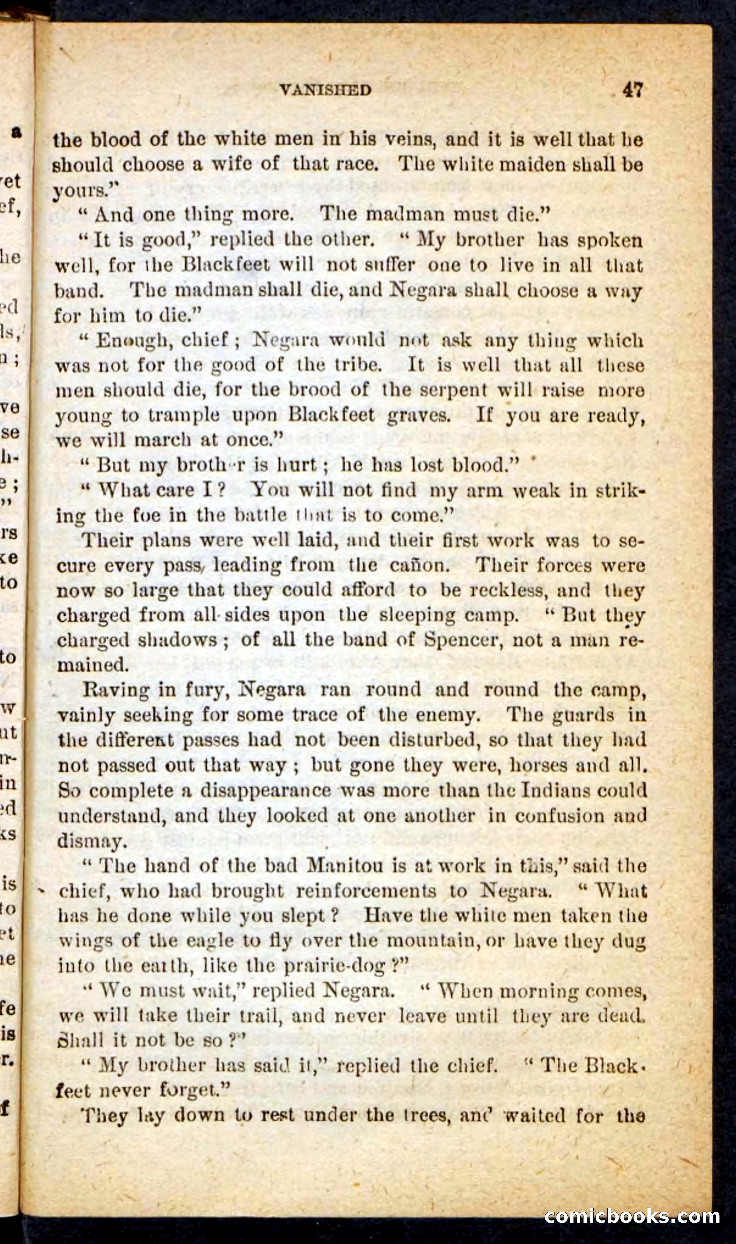 Beadle's Pocket Novels No. 165: Wild Nat, the Gulch Terror — page 43 of 100