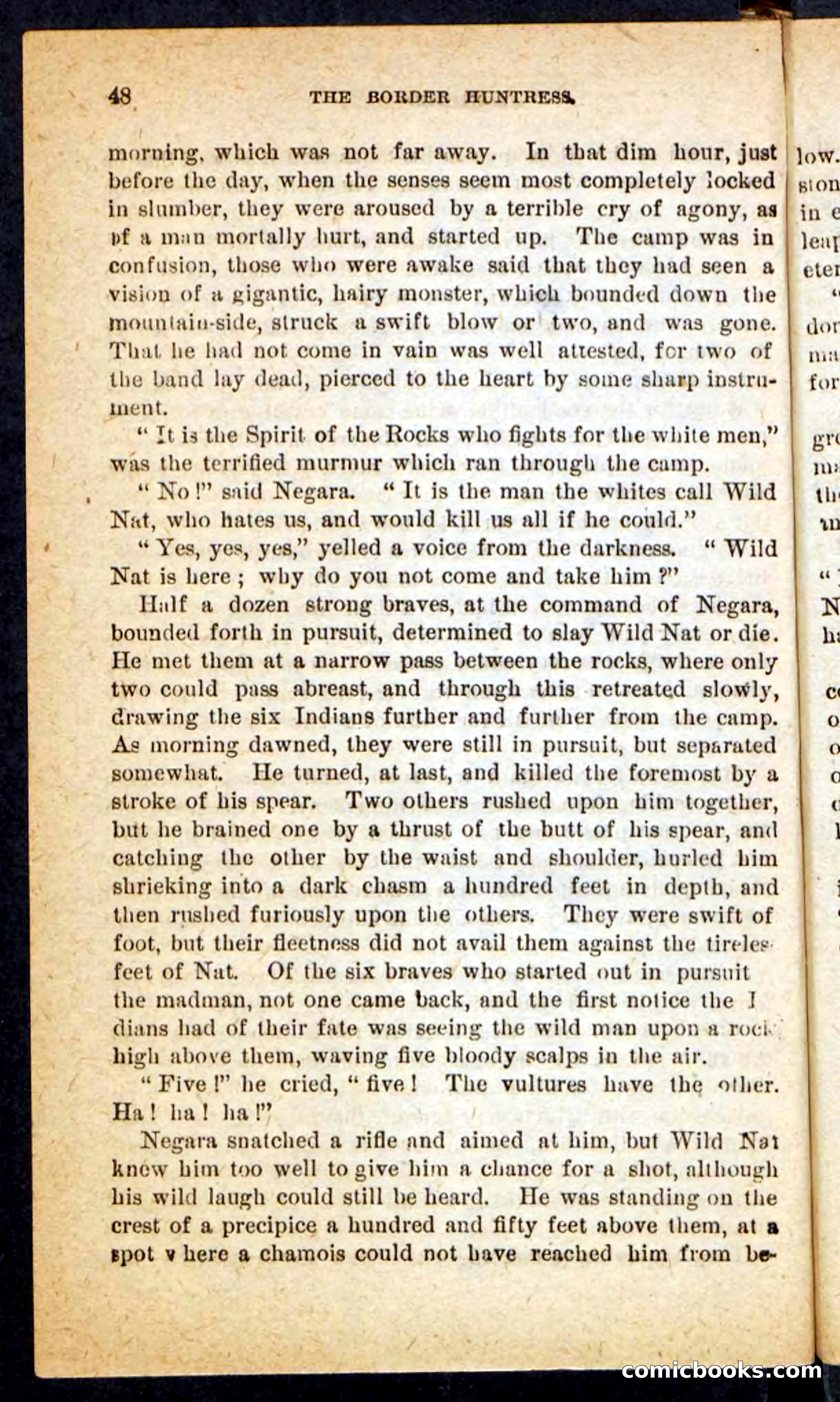 Beadle's Pocket Novels No. 165: Wild Nat, the Gulch Terror — page 44 of 100