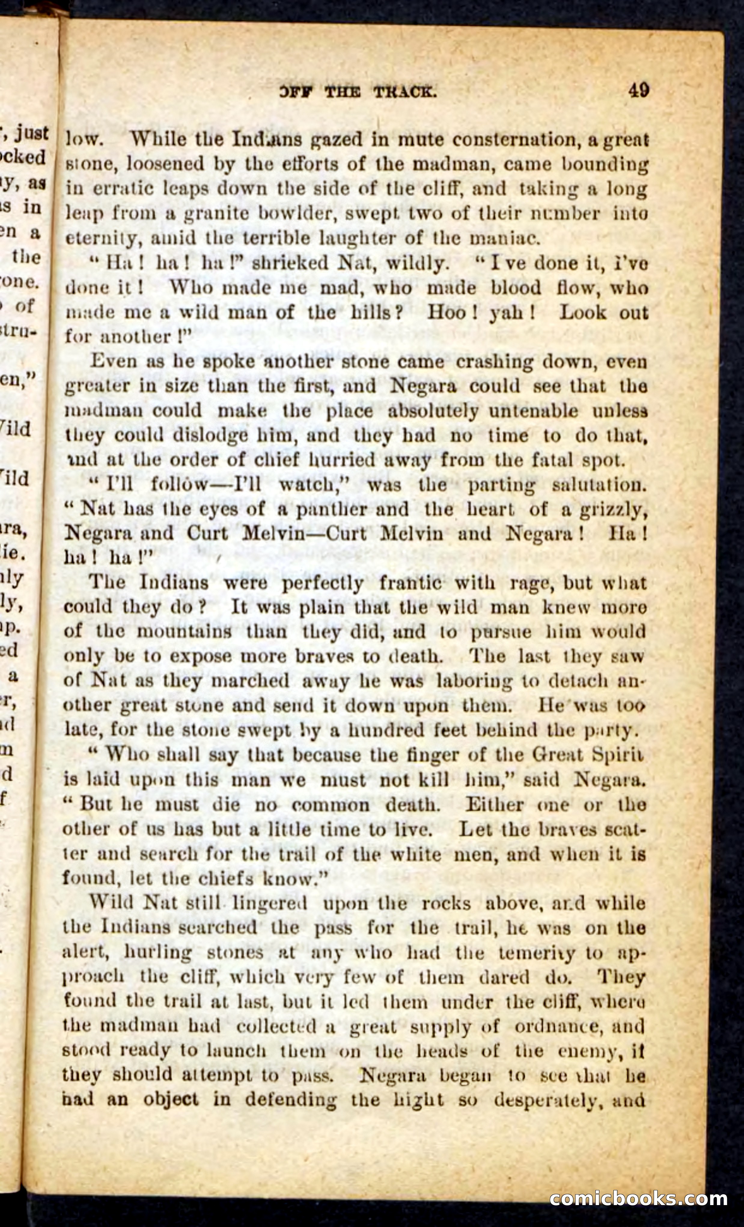 Beadle's Pocket Novels No. 165: Wild Nat, the Gulch Terror — page 45 of 100