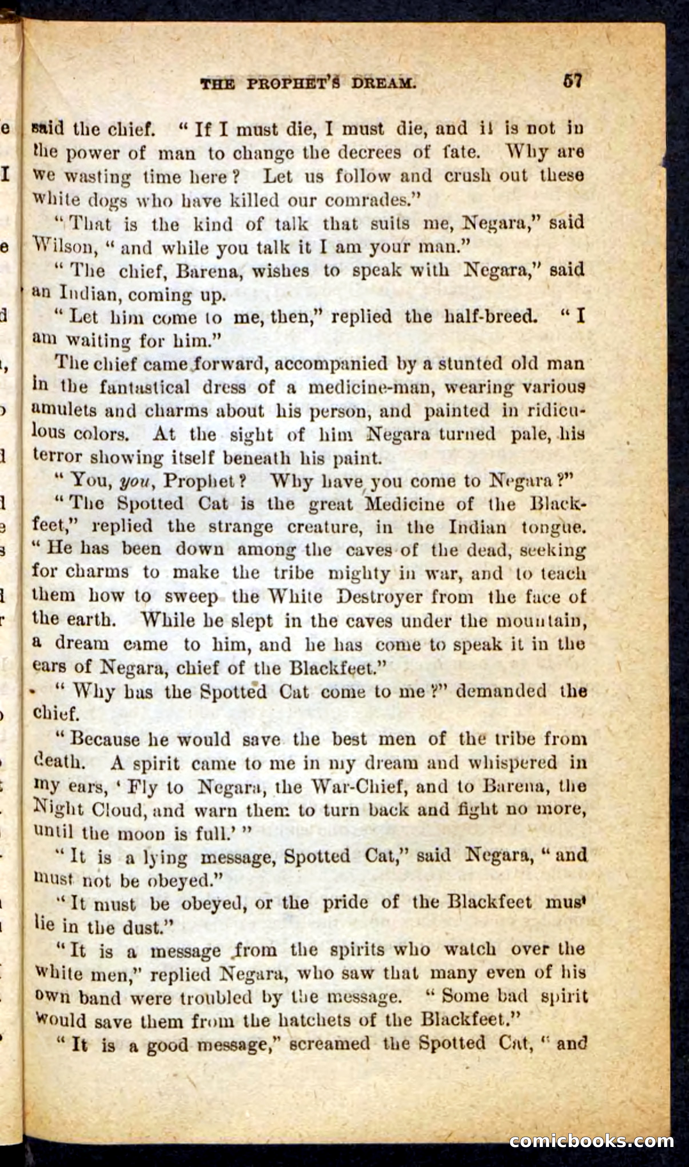 Beadle's Pocket Novels No. 165: Wild Nat, the Gulch Terror — page 53 of 100